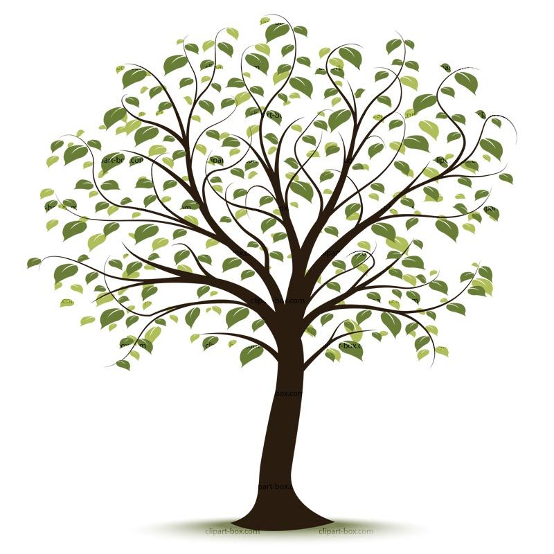Tree Free Clipart - HD Wallpaper 
