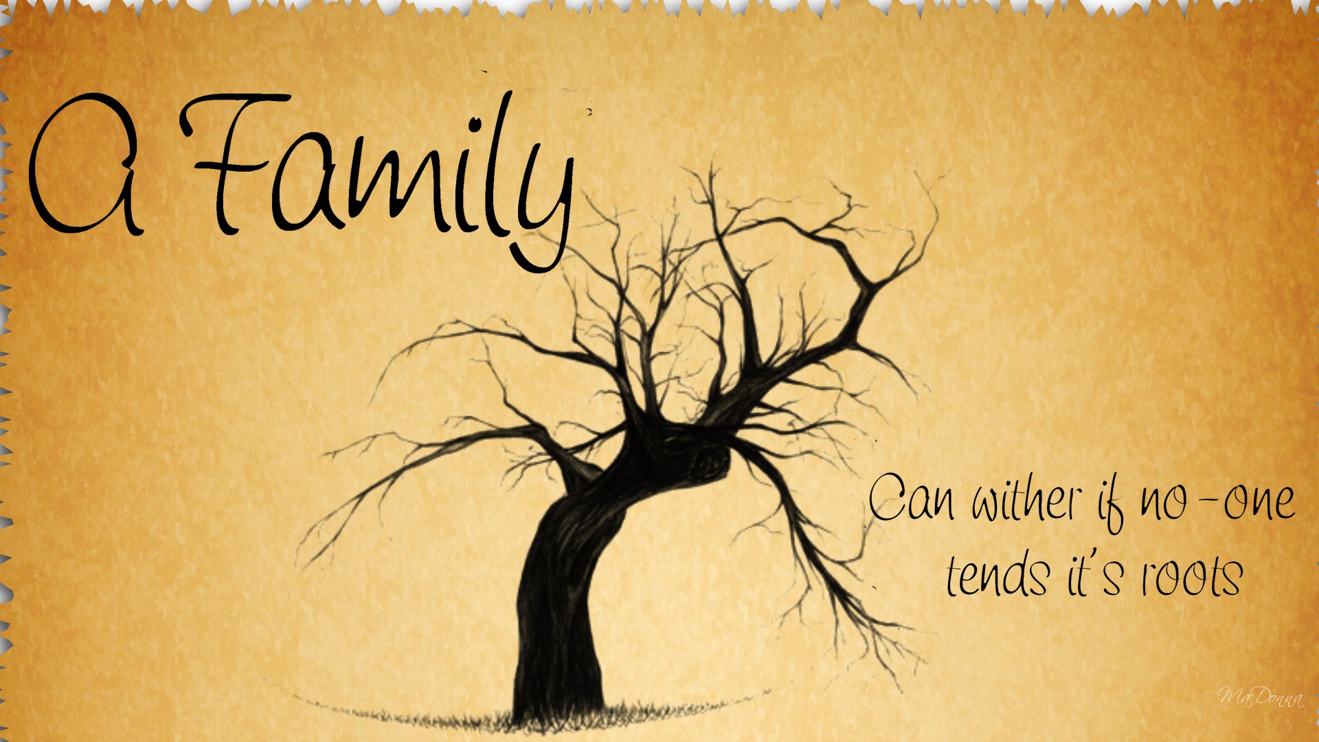 Sorted Wallpaper, Family Tree - Family Backgrounds - HD Wallpaper 