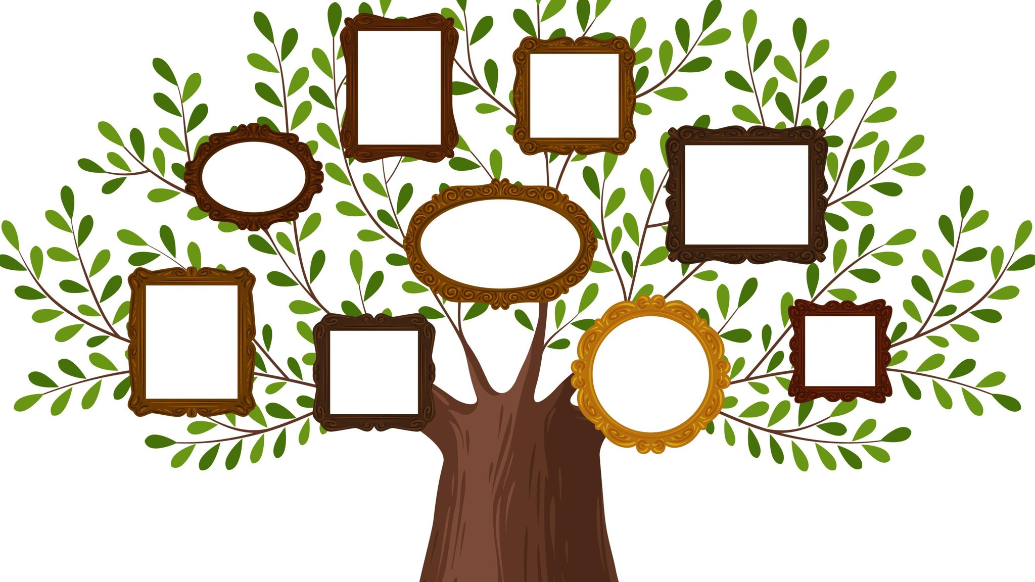 Kdpbgt Genealogical Family Tree With Picture Frames - Family Tree Of 10 People - HD Wallpaper 