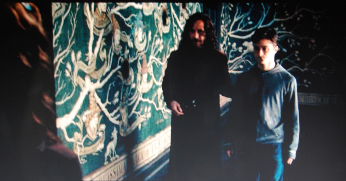 Sirius Black Family Tree Room - HD Wallpaper 