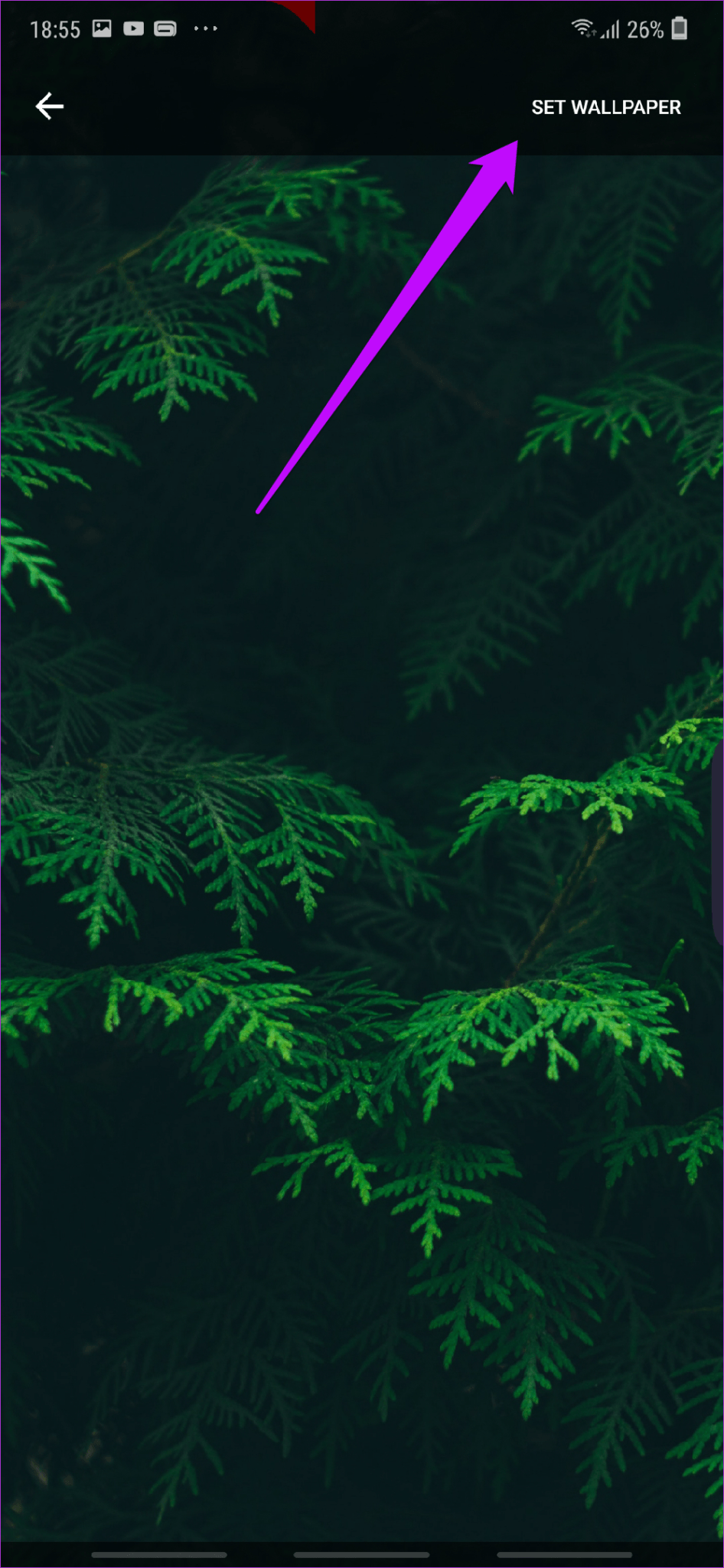 Green Iphone 7 Plus - HD Wallpaper 