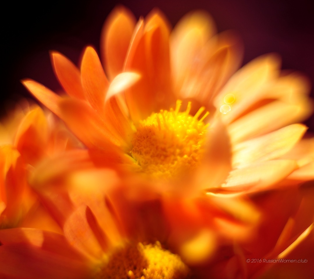 Samsung Galaxy J2 Prime - Mobile Phone - HD Wallpaper 