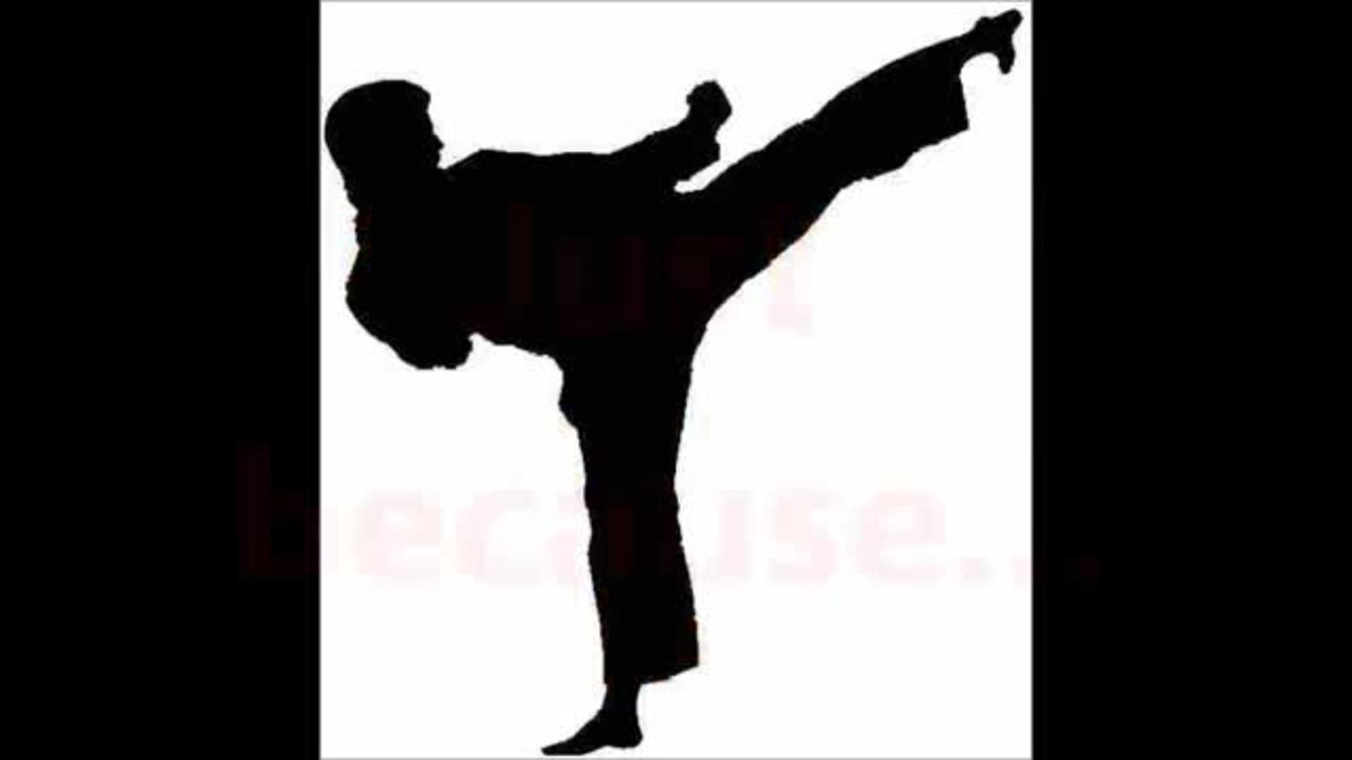 De Logos De Karate - HD Wallpaper 