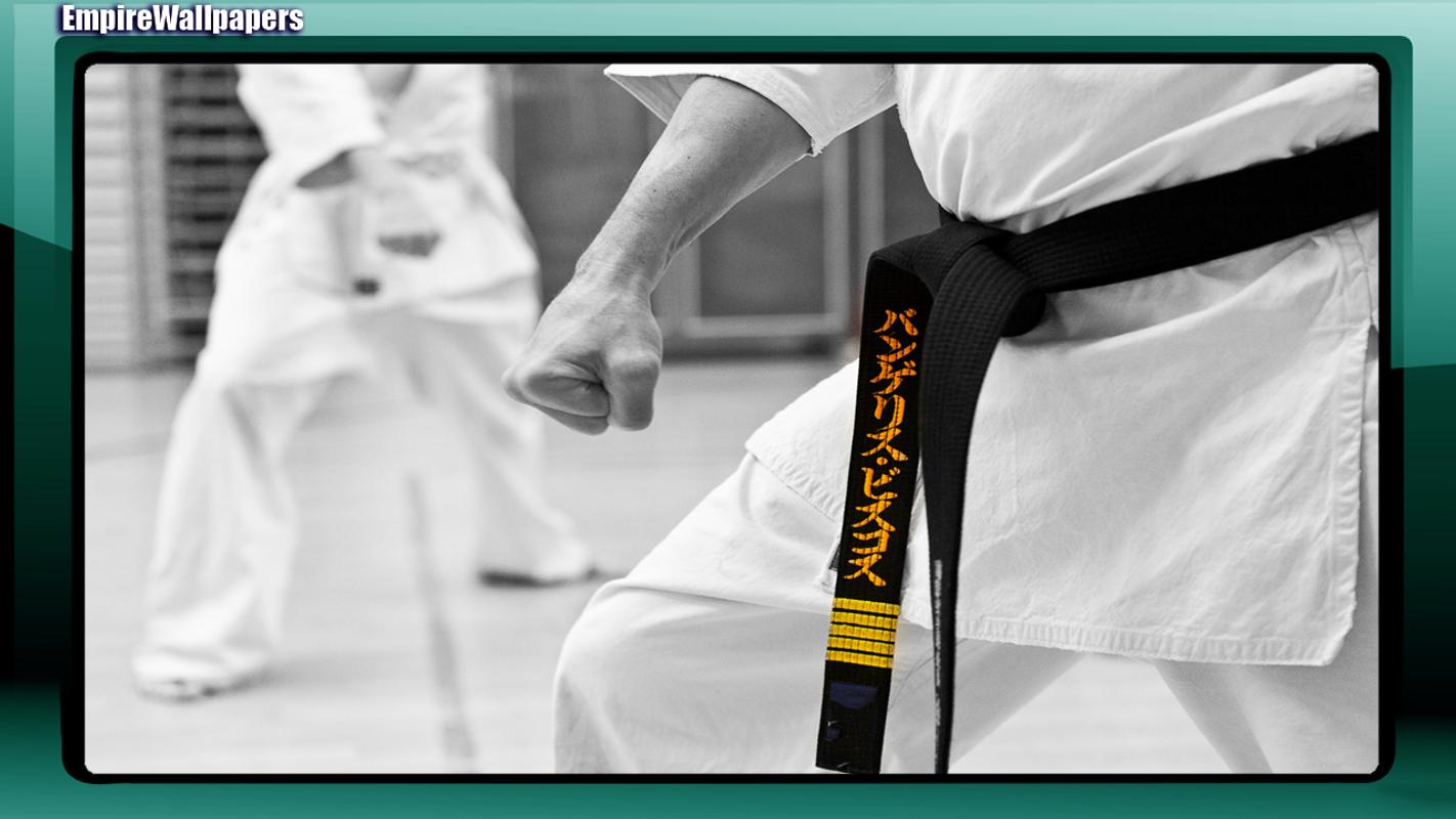 Karate Wallpaper - Imagenes De Karate - HD Wallpaper 