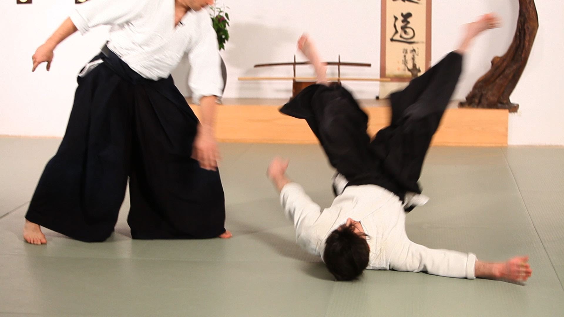 How To Do Tai Sabaki - Kaiten Tai Sabaki Aikido - HD Wallpaper 