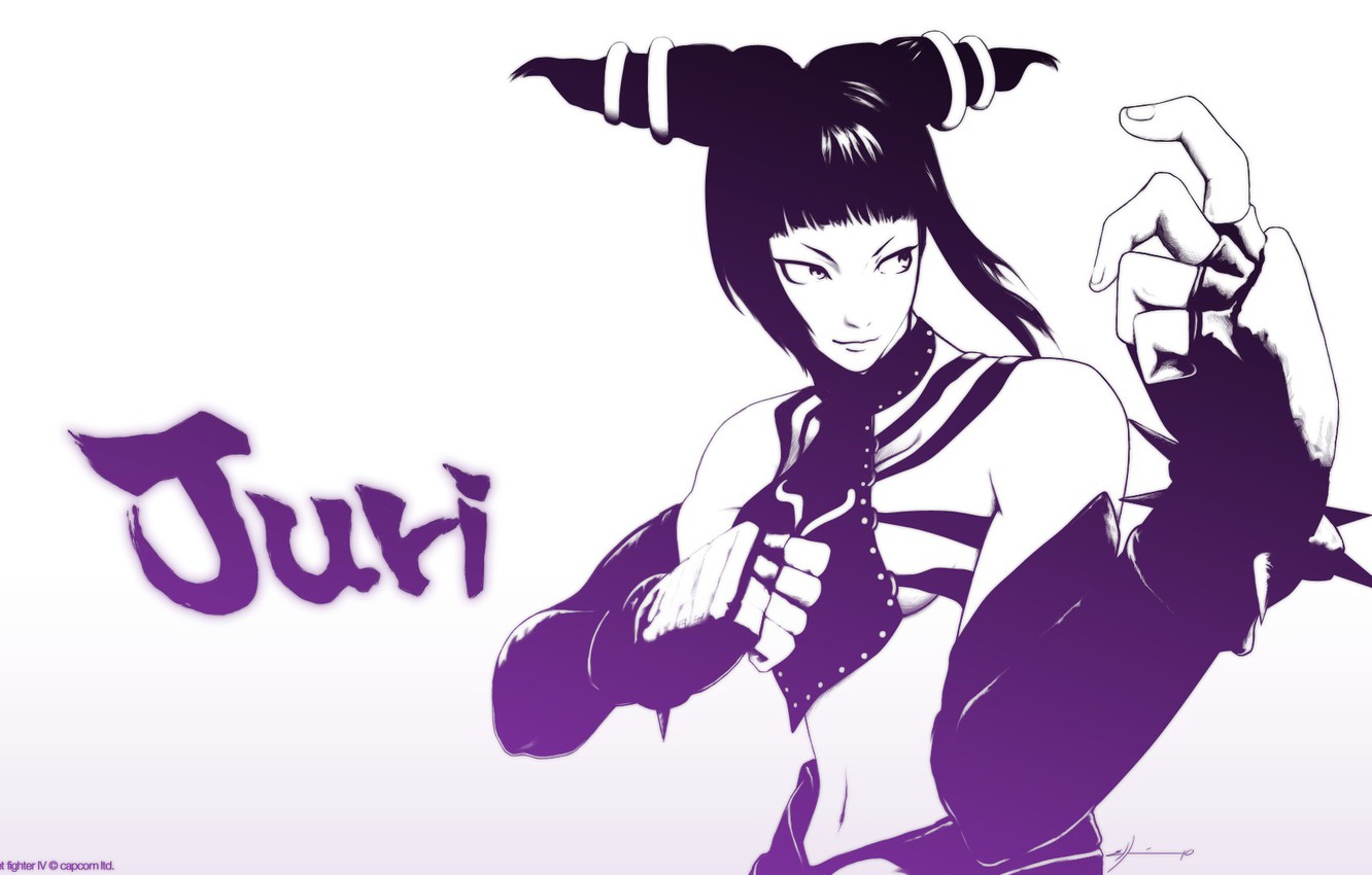 Photo Wallpaper Girl, Game, Anime, Game, Fighter, Art, - Street Fighter Girls Anime - HD Wallpaper 