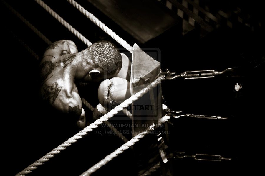 Love Boxe - HD Wallpaper 