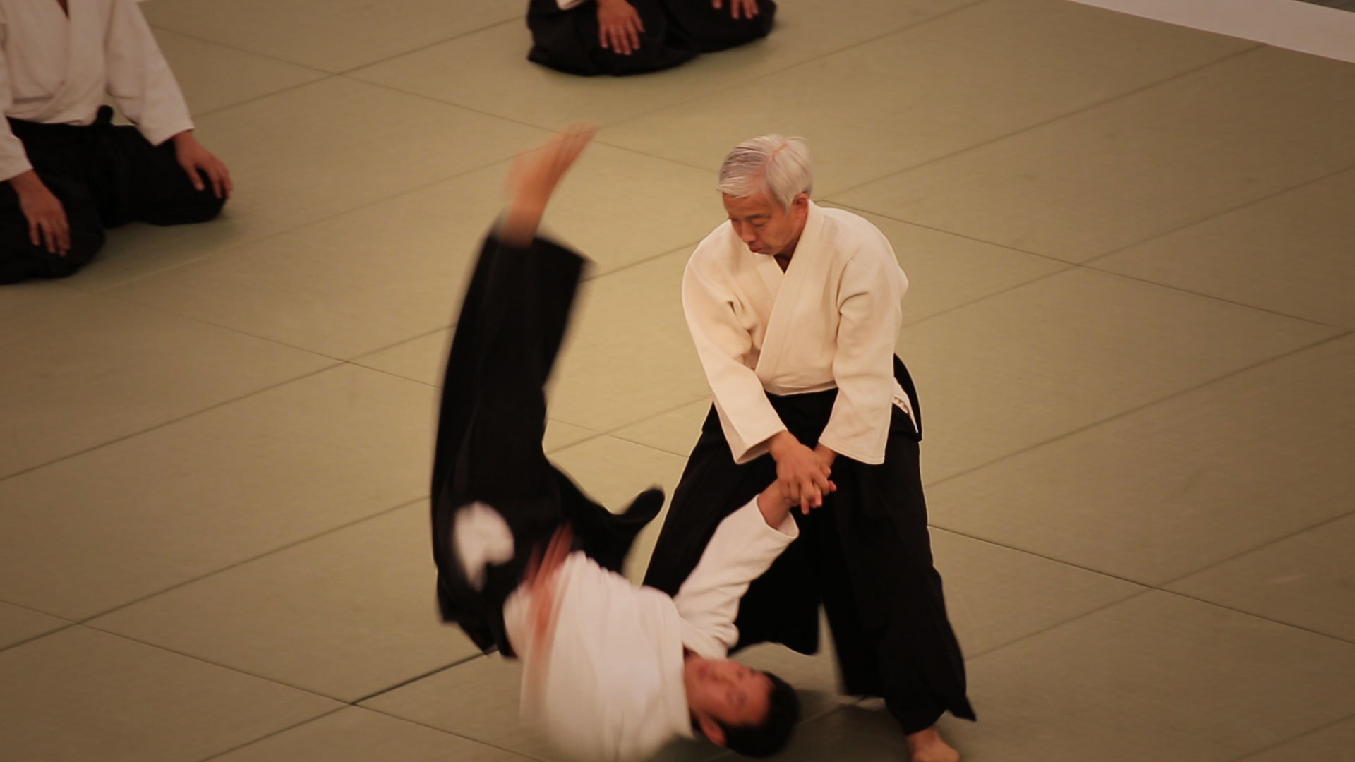 Kinomichi - HD Wallpaper 