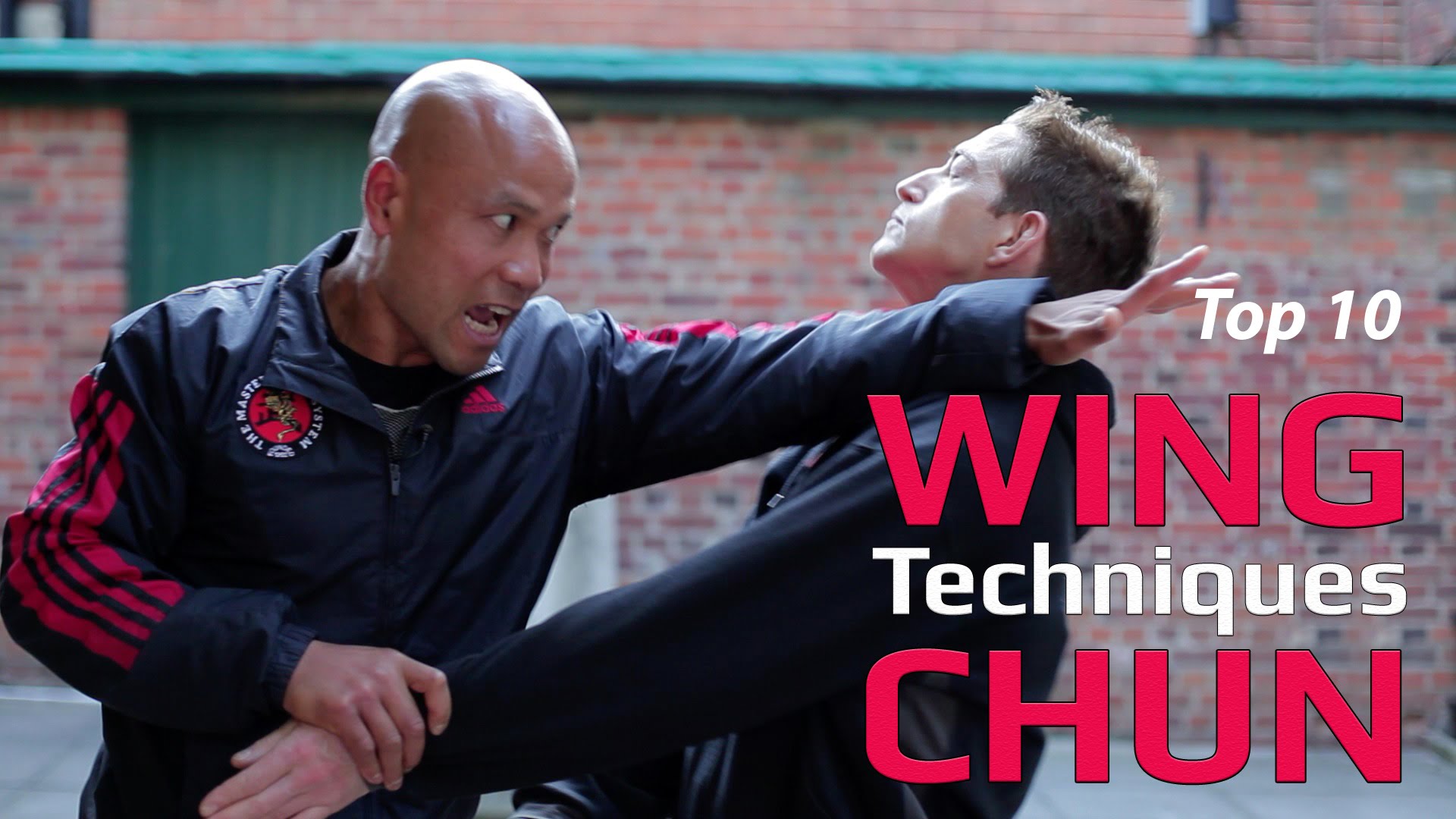 Top 10 Wing Chun Techniques - Wing Chun - HD Wallpaper 