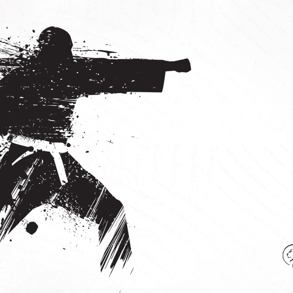 Karate Wallppet - HD Wallpaper 