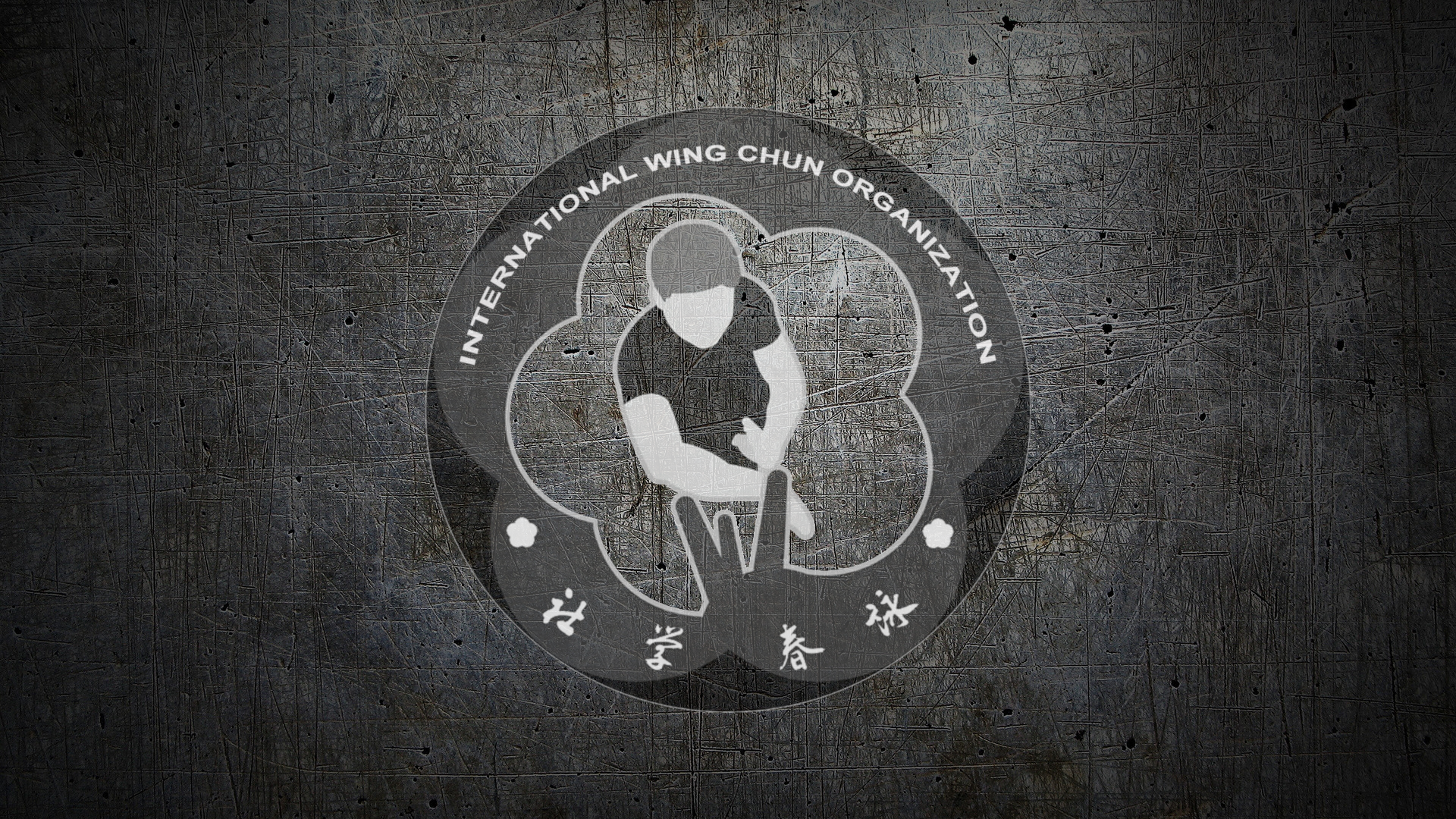 Wing Chun - HD Wallpaper 