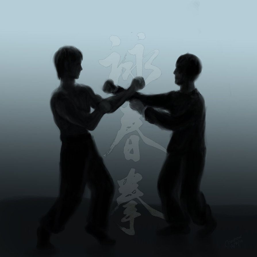 Wing Chun Wallpaper Smartphone - HD Wallpaper 