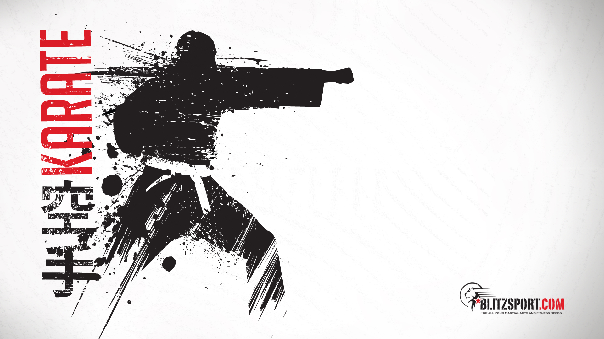 630426 Karate Wallpaper - Karate Blitz - HD Wallpaper 