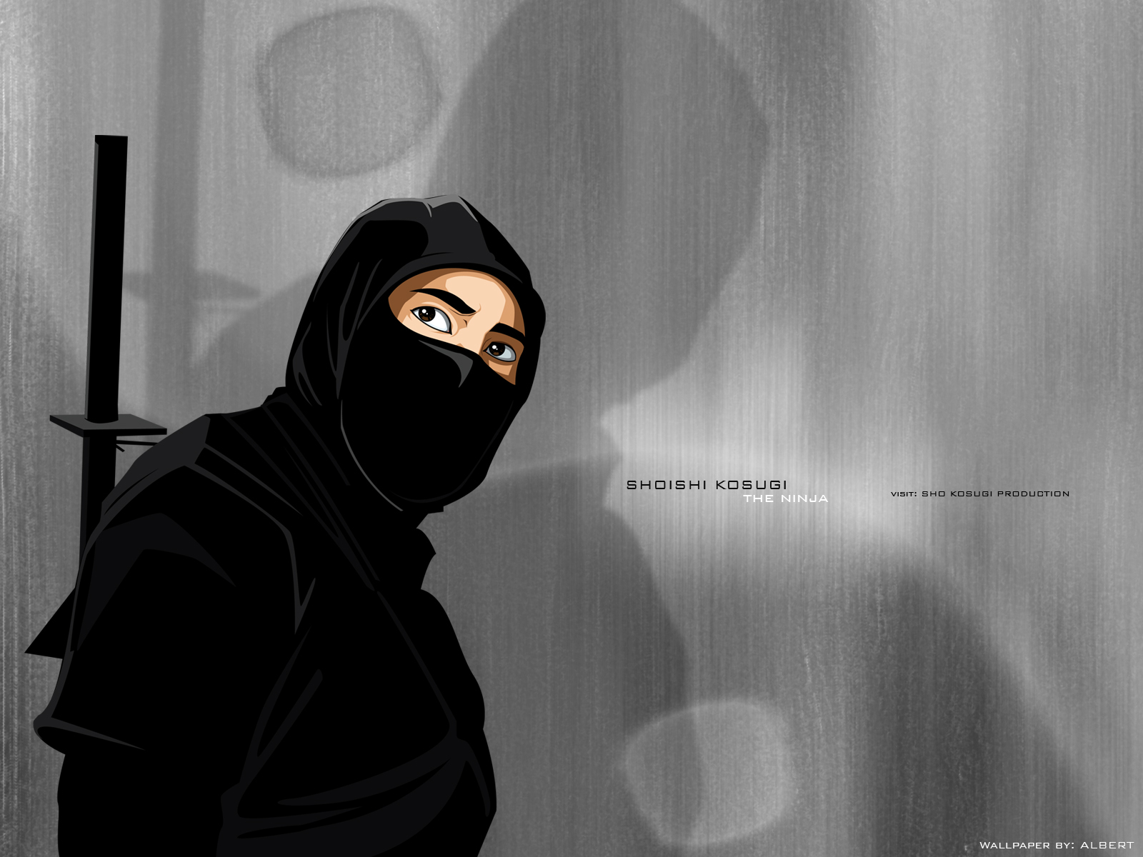 Sho Kosugi Ninja - HD Wallpaper 