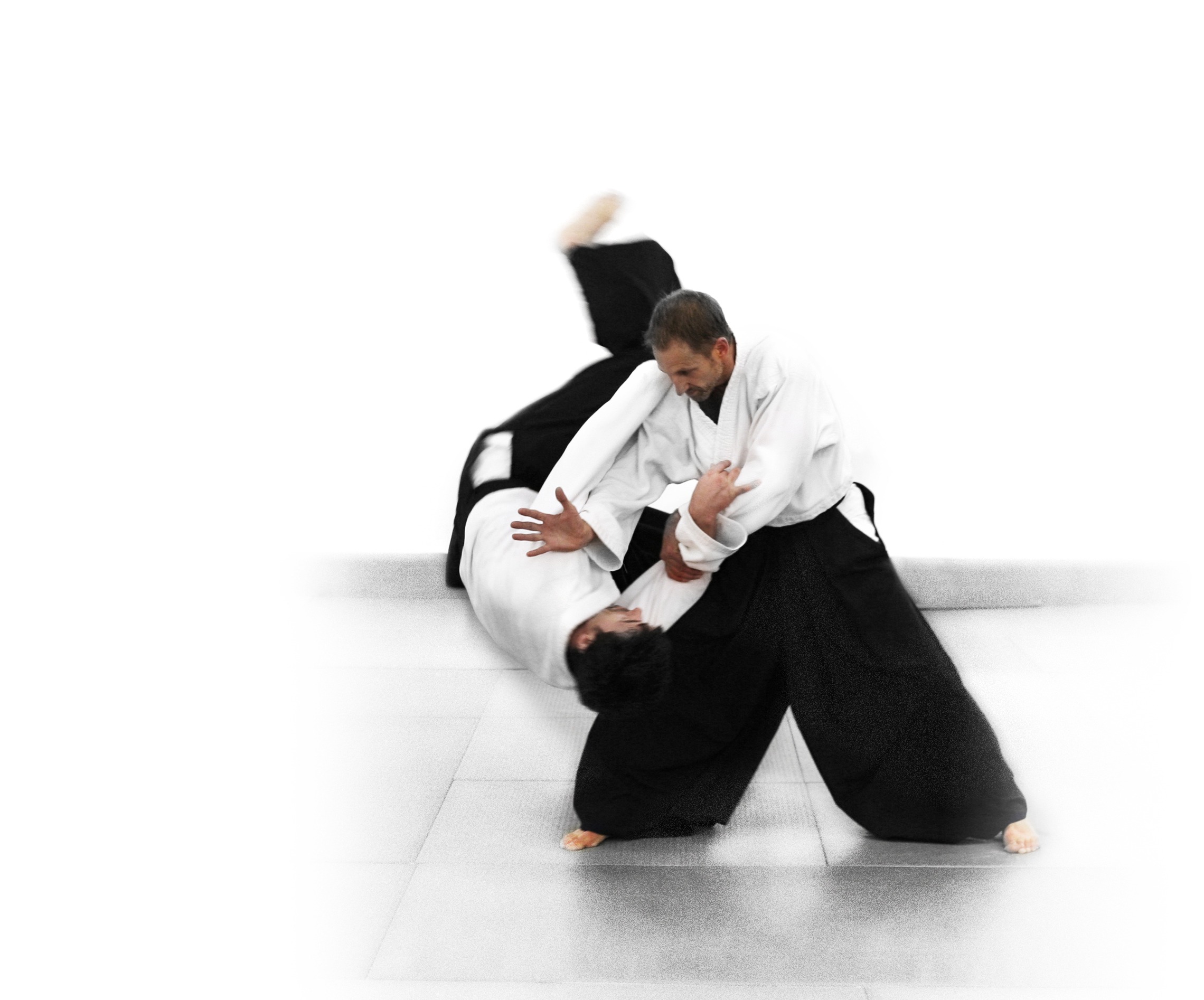 Aikido - HD Wallpaper 