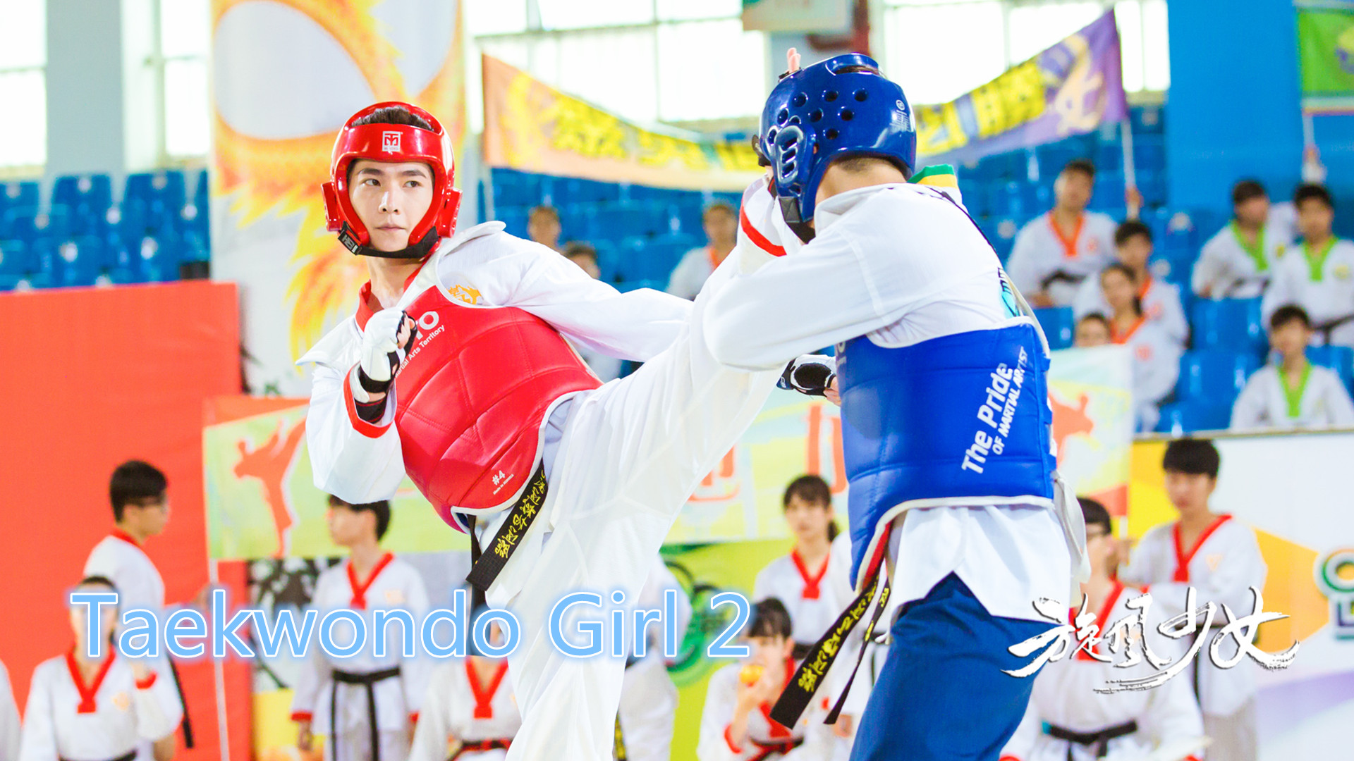 Taekwondo Girl - HD Wallpaper 