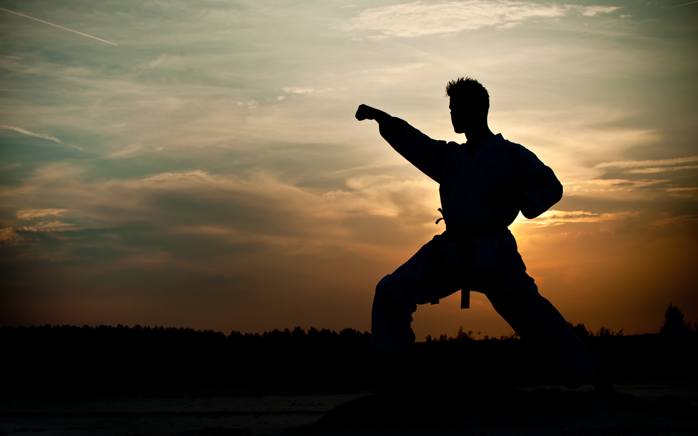 Karate Wallpaper Hd Database Wallpaper Karate Images 1440x900 Wallpaper Teahub Io