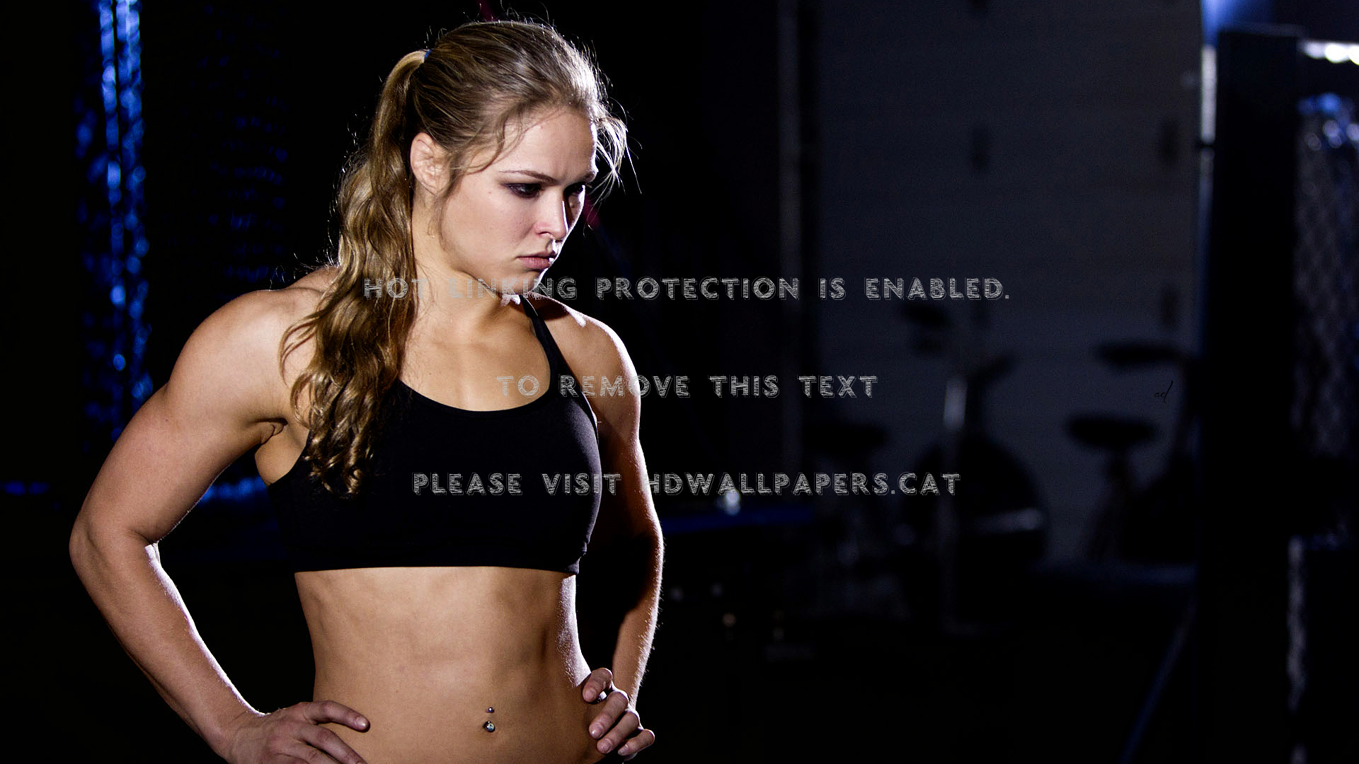 Ronda Rousey Blondes Mma Sports Bra Ufc - Ronda Rowdy Rousey - HD Wallpaper 
