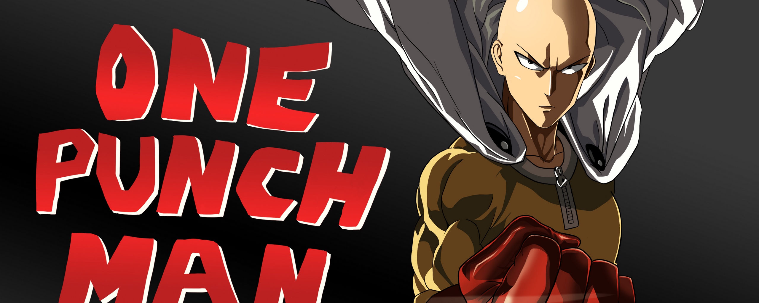 Wallpaper One Punch Man, Saitama, Art - HD Wallpaper 