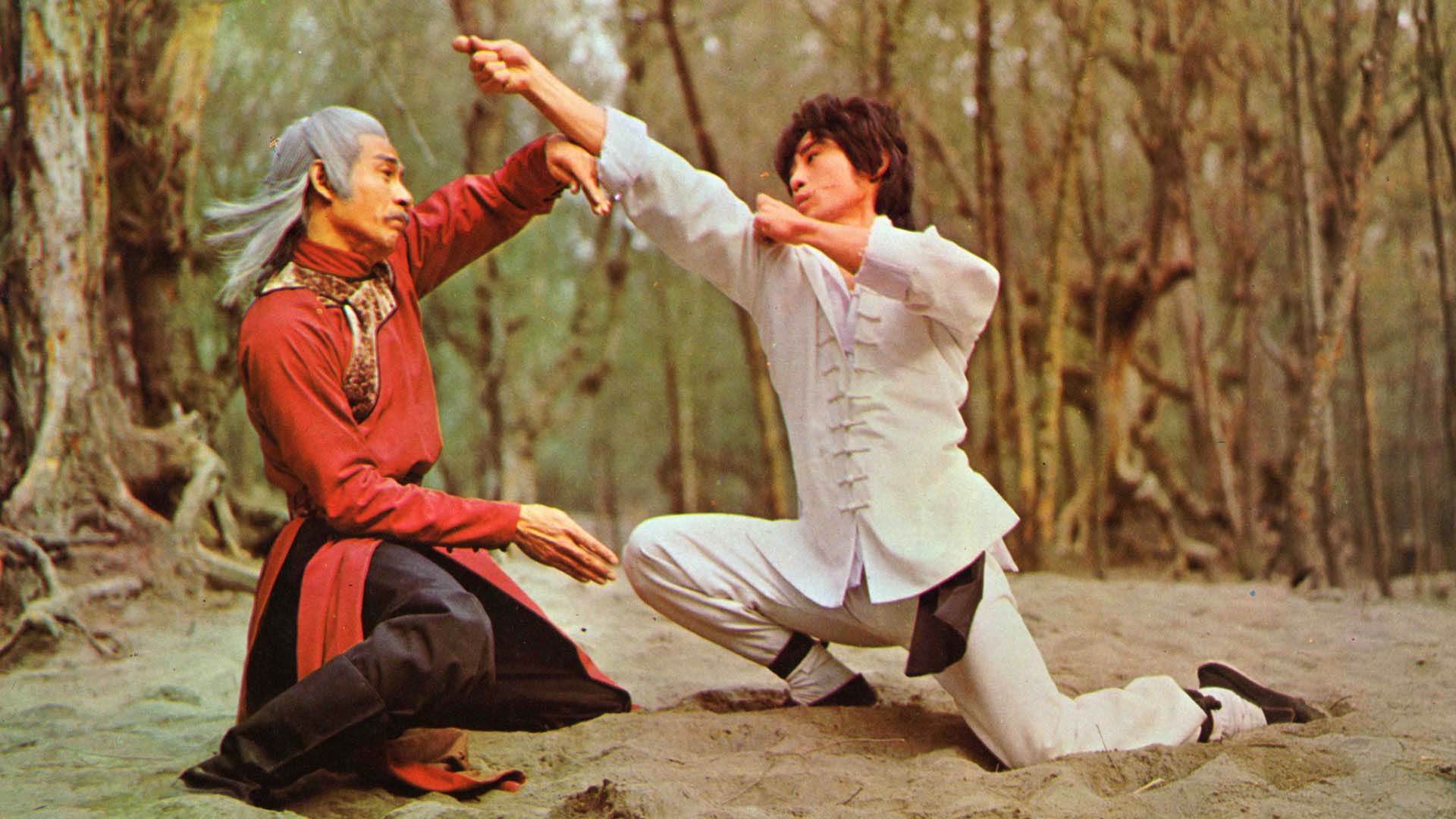 Shaolin Kung Fu Master - HD Wallpaper 