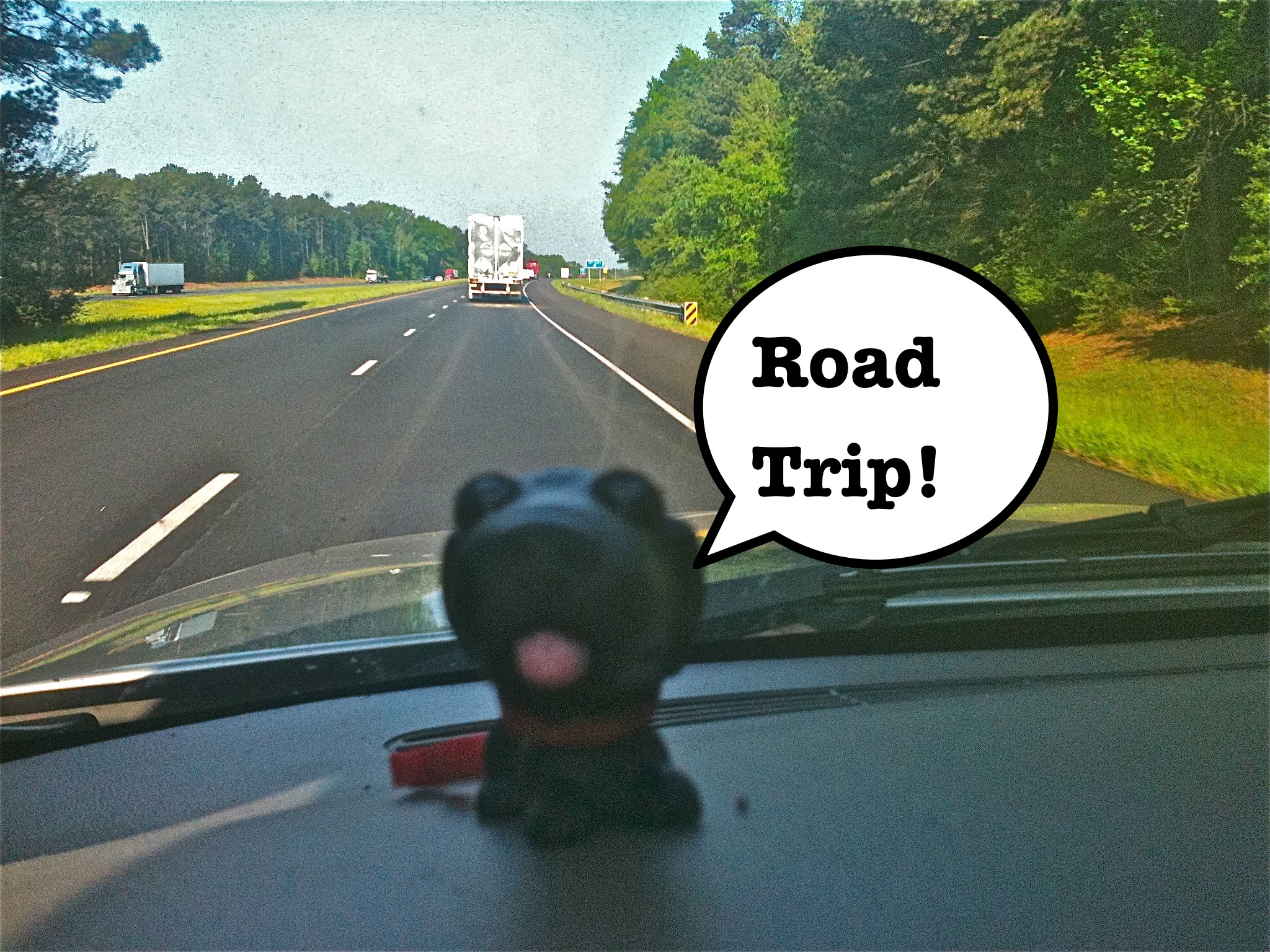 Ciao Ragazzi - HD Wallpaper 