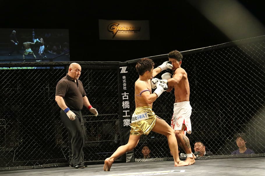 Kickboxing, Cage, Maza, Martial Arts, Shooting, Mixed - HD Wallpaper 