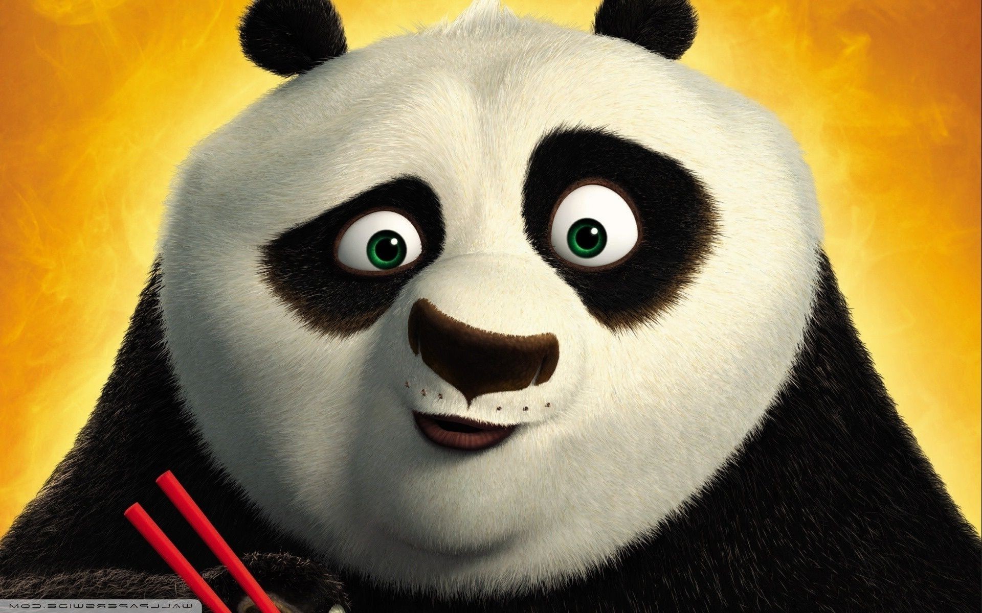 Foreign Cartoons Animal Wildlife Cute Portrait Bird - Symmetrical Face Panda - HD Wallpaper 