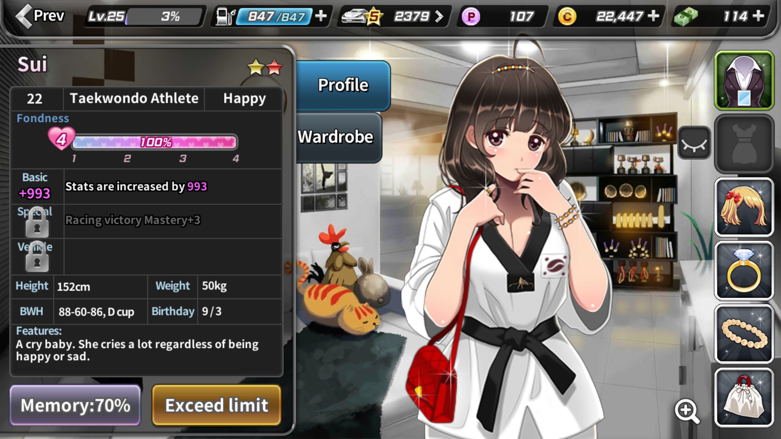 Drift Girls Mobile Review - Ragnarok Online Taekwon Girl - HD Wallpaper 