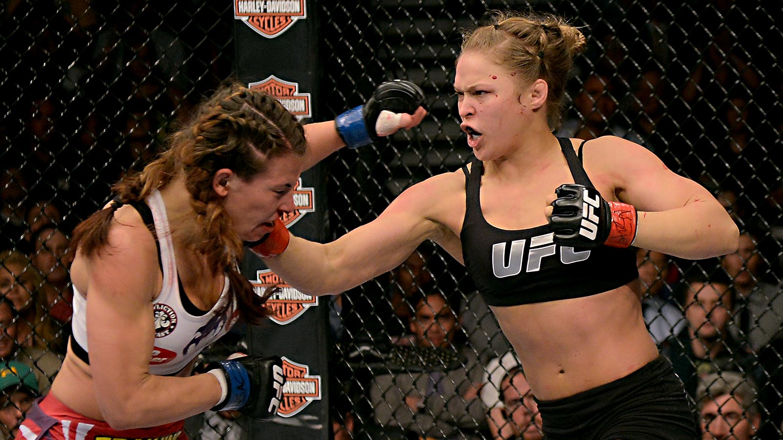 All The Important Female Mma Fighters Not Named Ronda - Happy Birthday Ronda Rousey - HD Wallpaper 