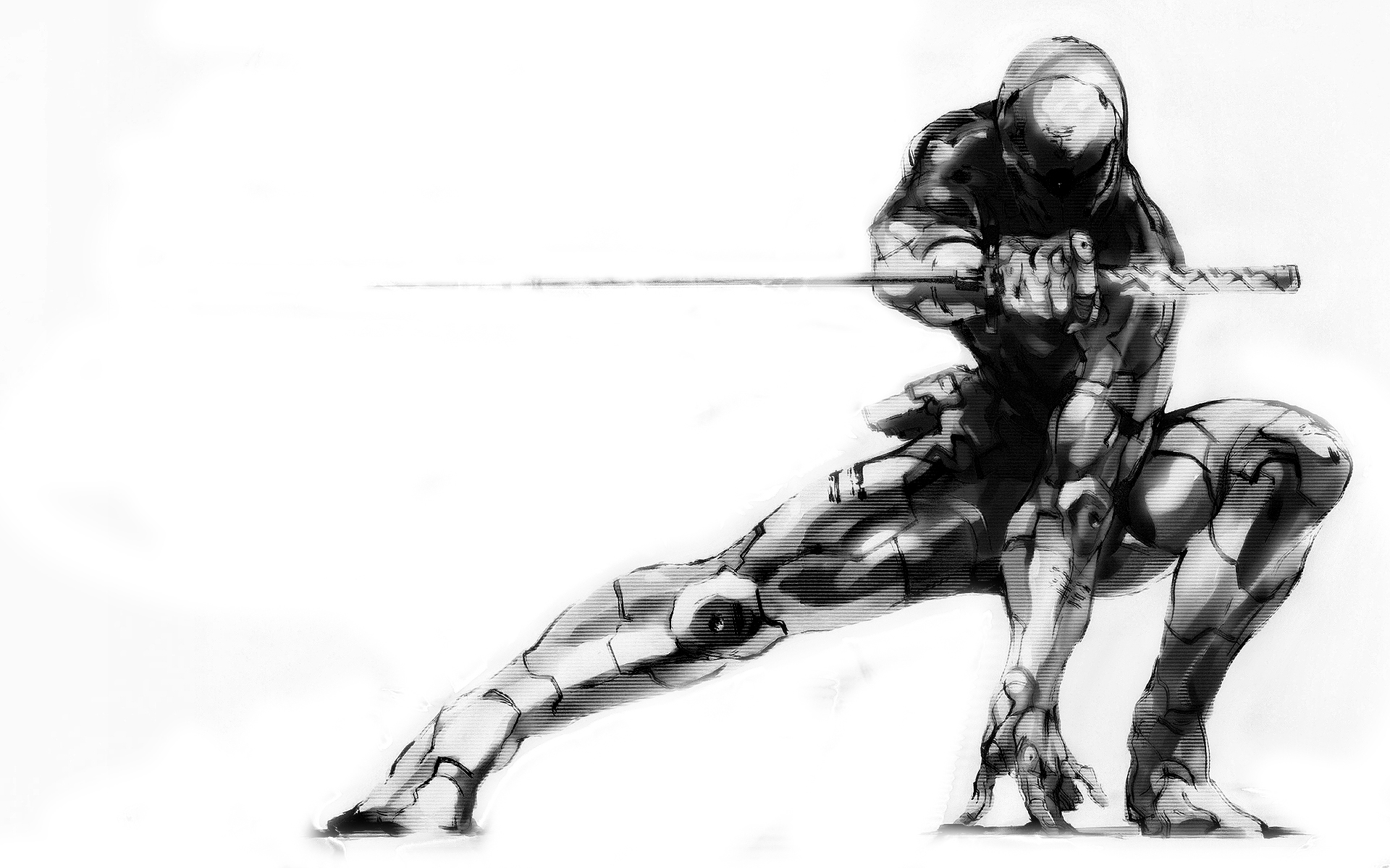Gray Fox - 1920x1200 Wallpaper - teahub.io