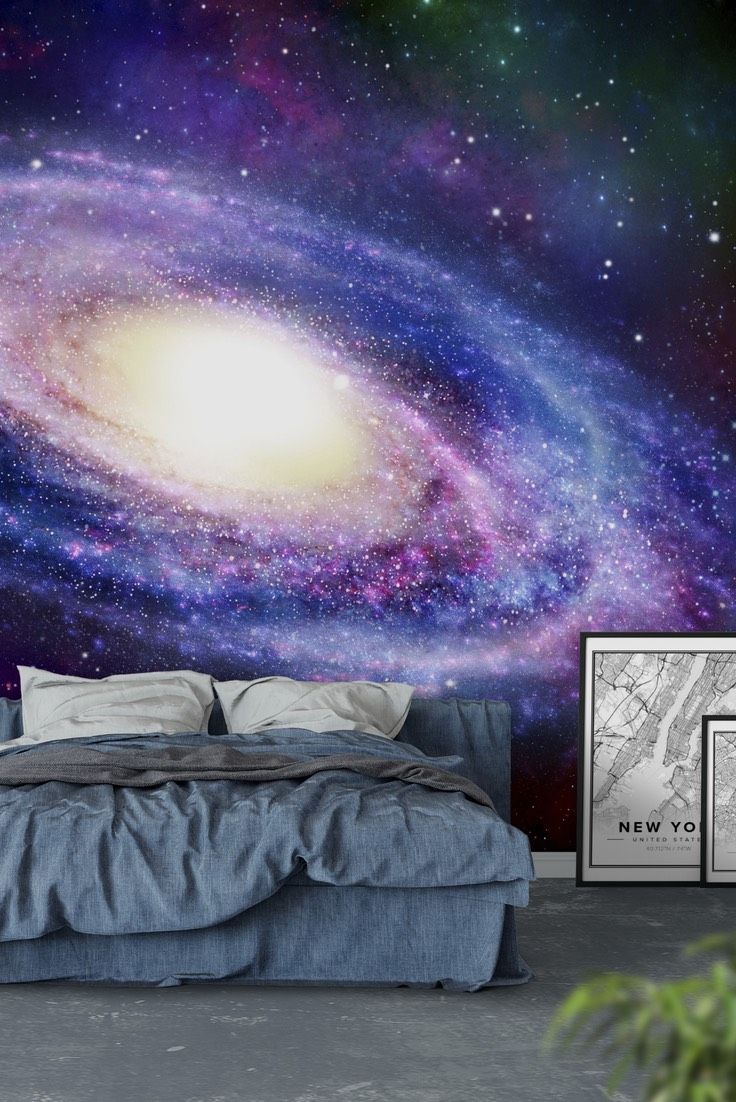 Wall Mural Wallpaper Woods - HD Wallpaper 