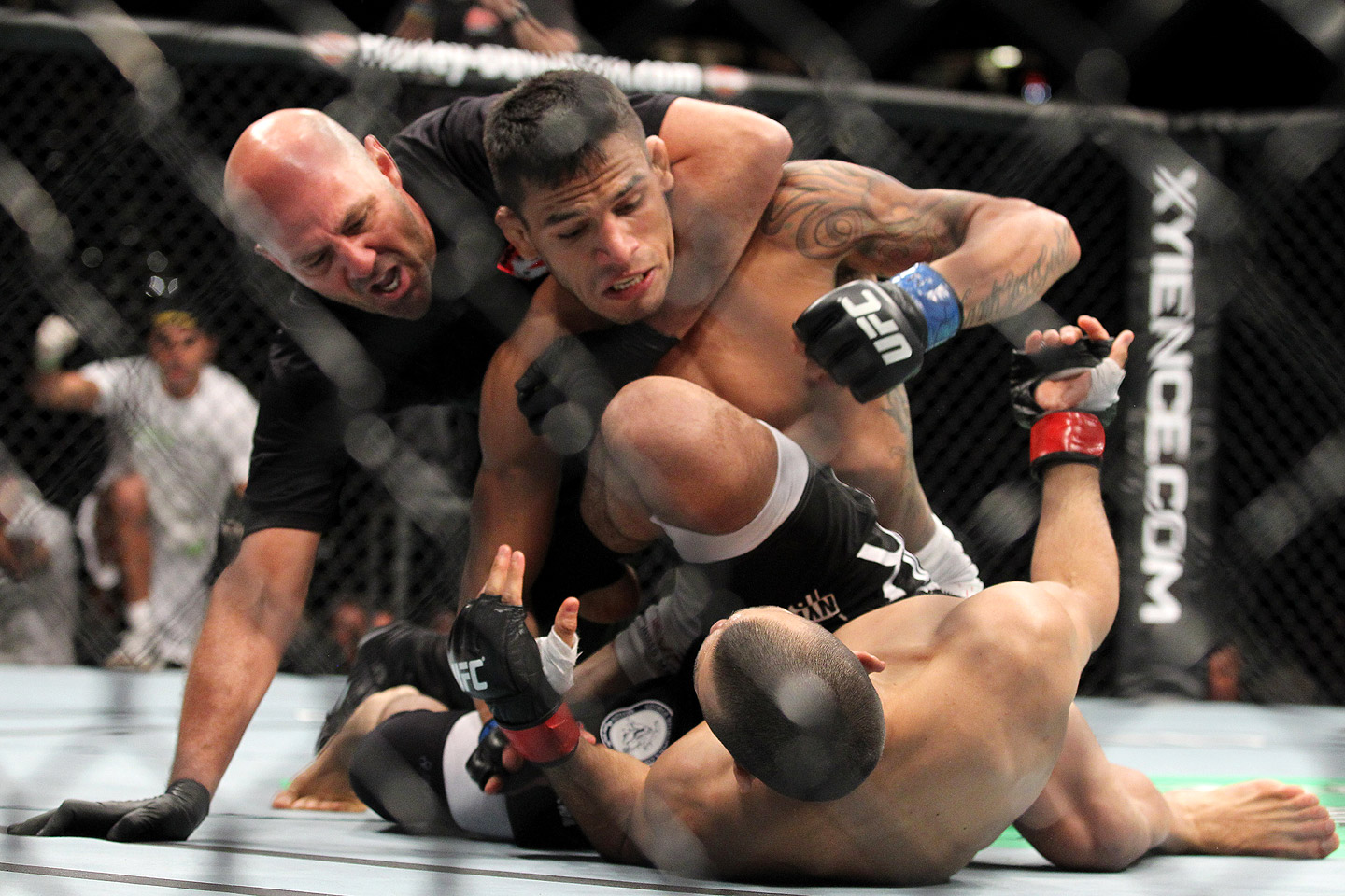 Nigerian Mma Fighter Dies After Fight In Michigan Sports - Referee Breaking Up Mma Fight - 1440x960 Wallpaper Nigerian Mma Fighter Dies After Fight In Michigan Sports - Referee Breaking Up Mma Fight - 1440x960 Wallpaper