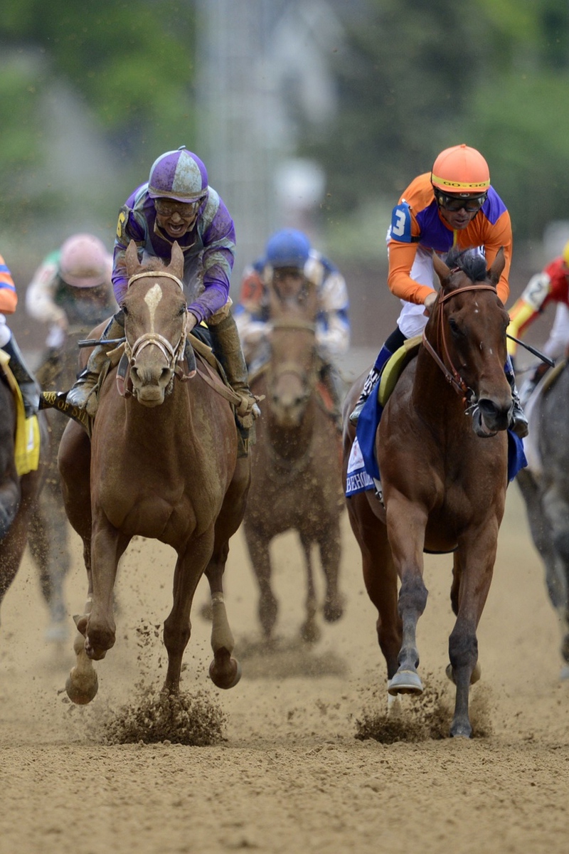 Wallpaper Kentucky Derby, Kentucky Derby 2015, Kentucky - Iphone Horse Racing Wallpaper Hd - HD Wallpaper 