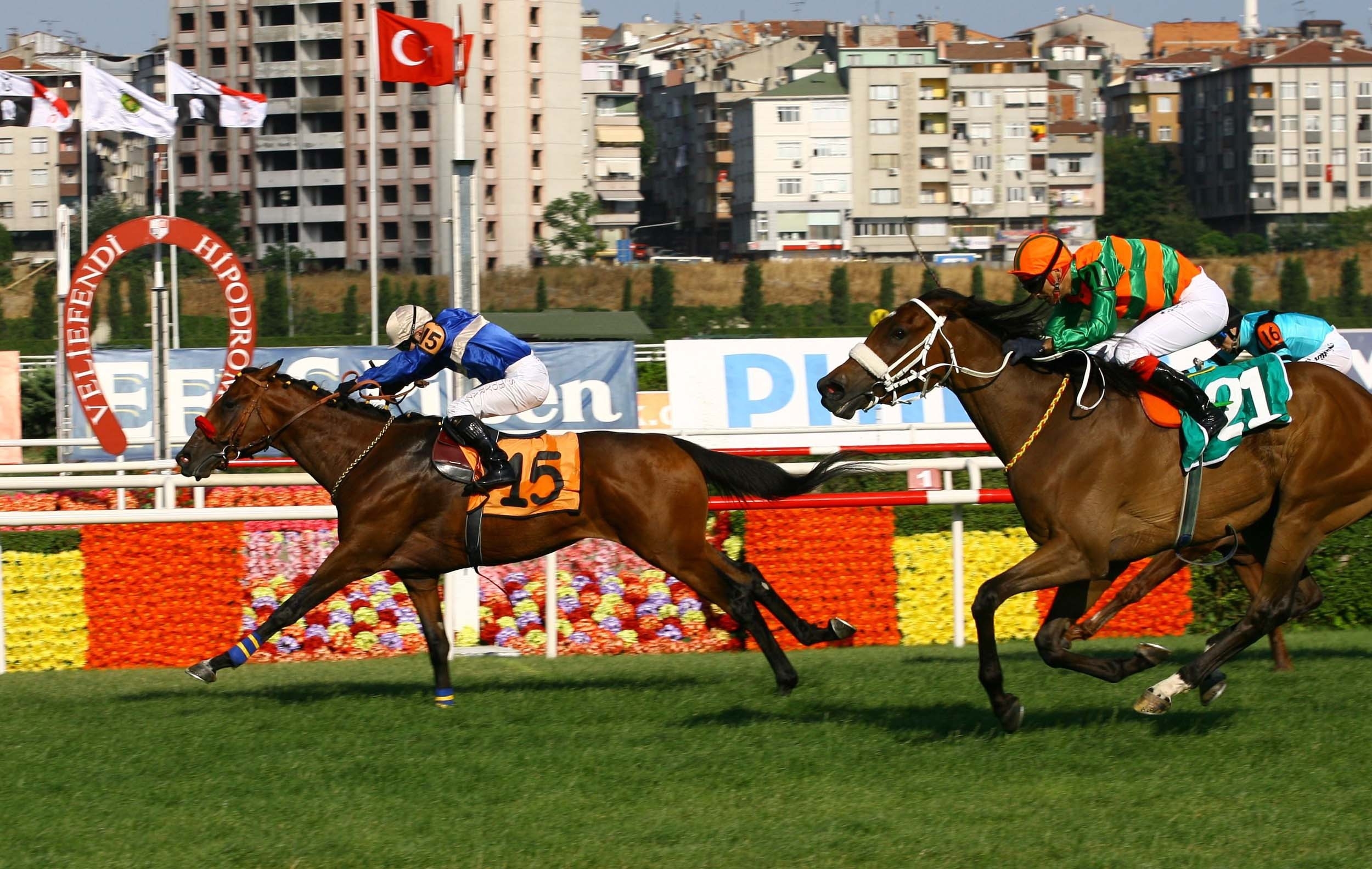 Horse Racing Turkey - HD Wallpaper 