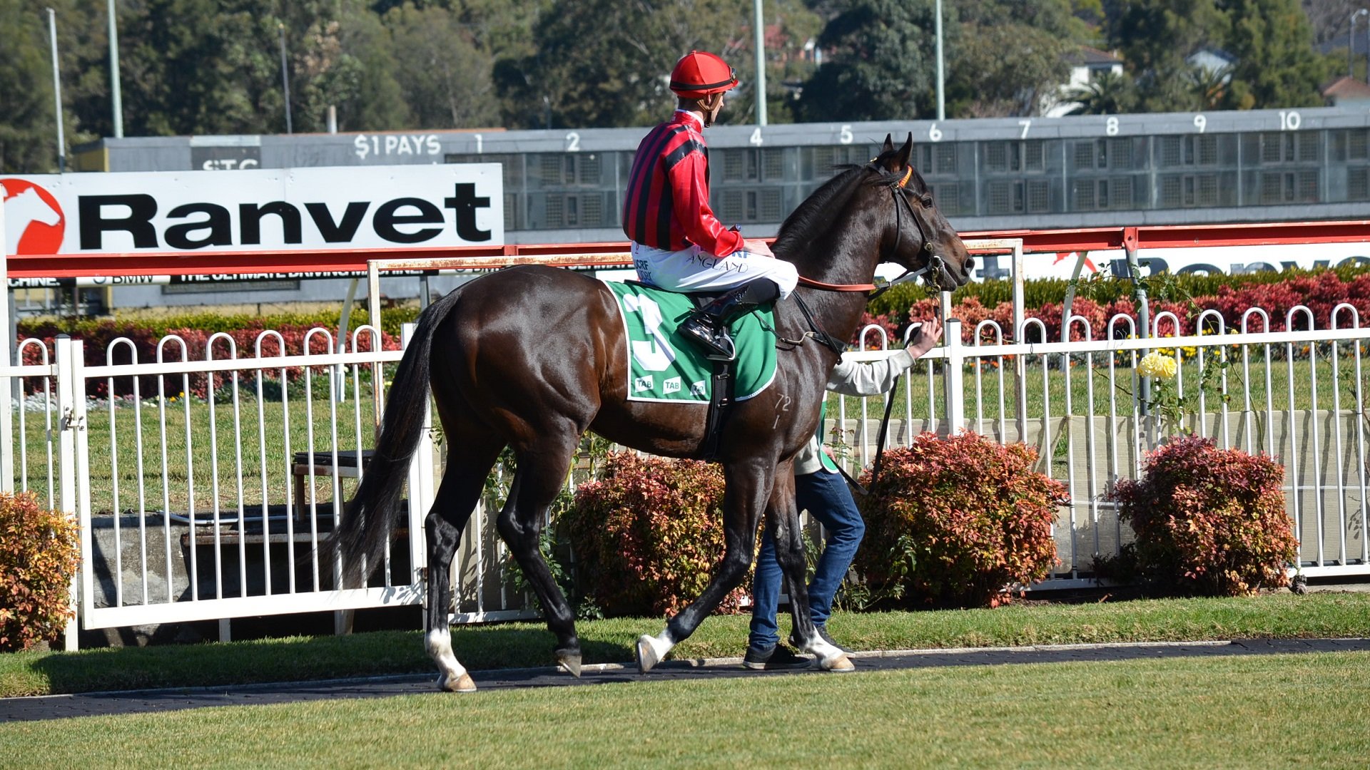 Best Horse Racing Wallpaper Id - Flat Racing - HD Wallpaper 