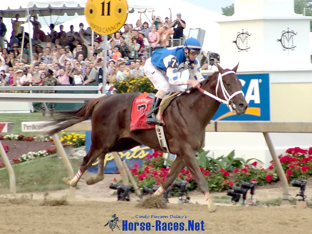 Flat Racing - HD Wallpaper 