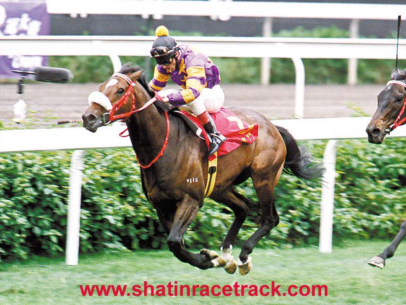 Flat Racing - HD Wallpaper 