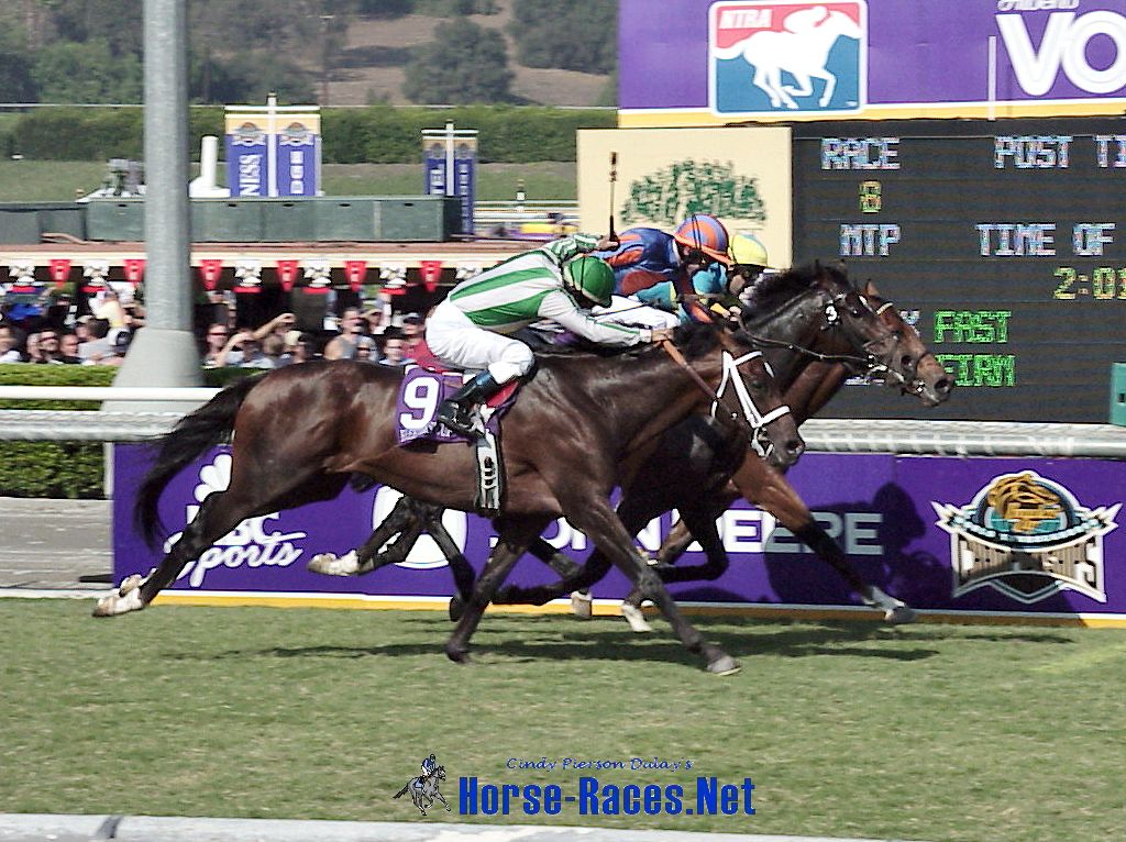 Flat Racing - HD Wallpaper 