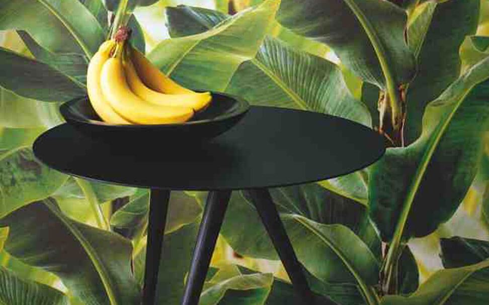 Banana Leaves 3d Wallpaper - HD Wallpaper 