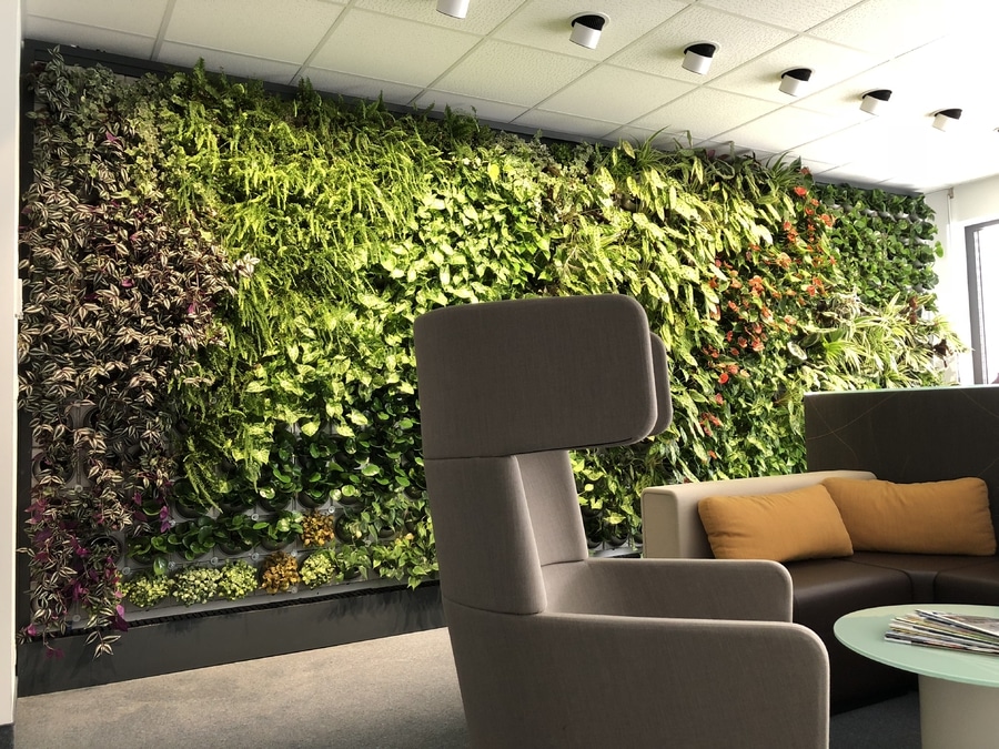 Indoor Artificial Grass Wall - HD Wallpaper 