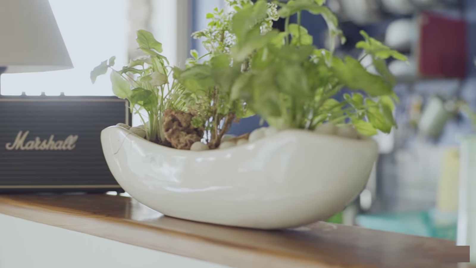 Flowerpot - HD Wallpaper 