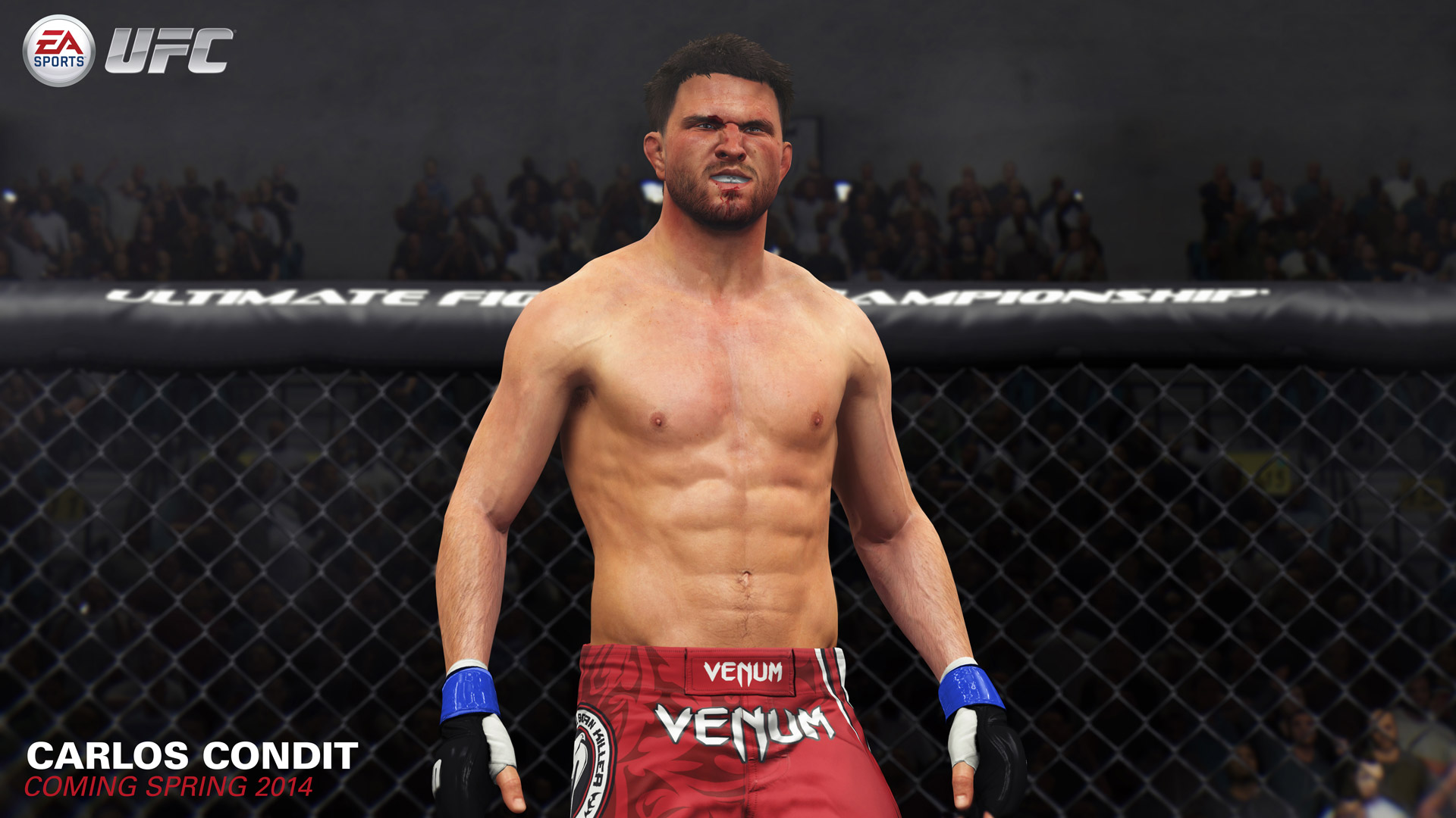 Ea Sports Ufc Wallpaper In - Carlos Condit Ufc Game - HD Wallpaper 