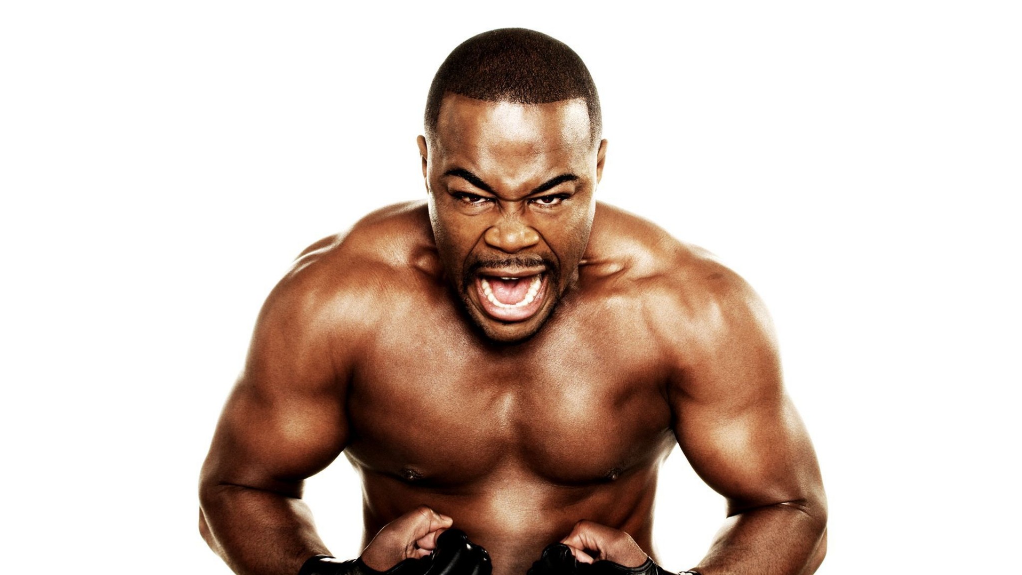 Rashad Evans - 2048x1152 Wallpaper - teahub.io