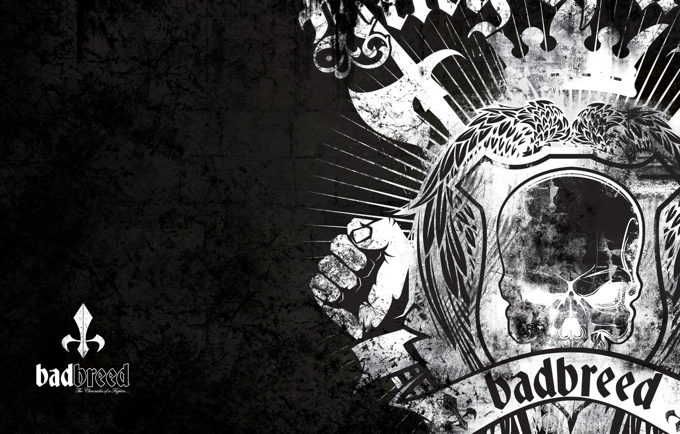 Photo Wallpaper Fights Without Rules, Mma, Ufc - Bad Breed - HD Wallpaper 