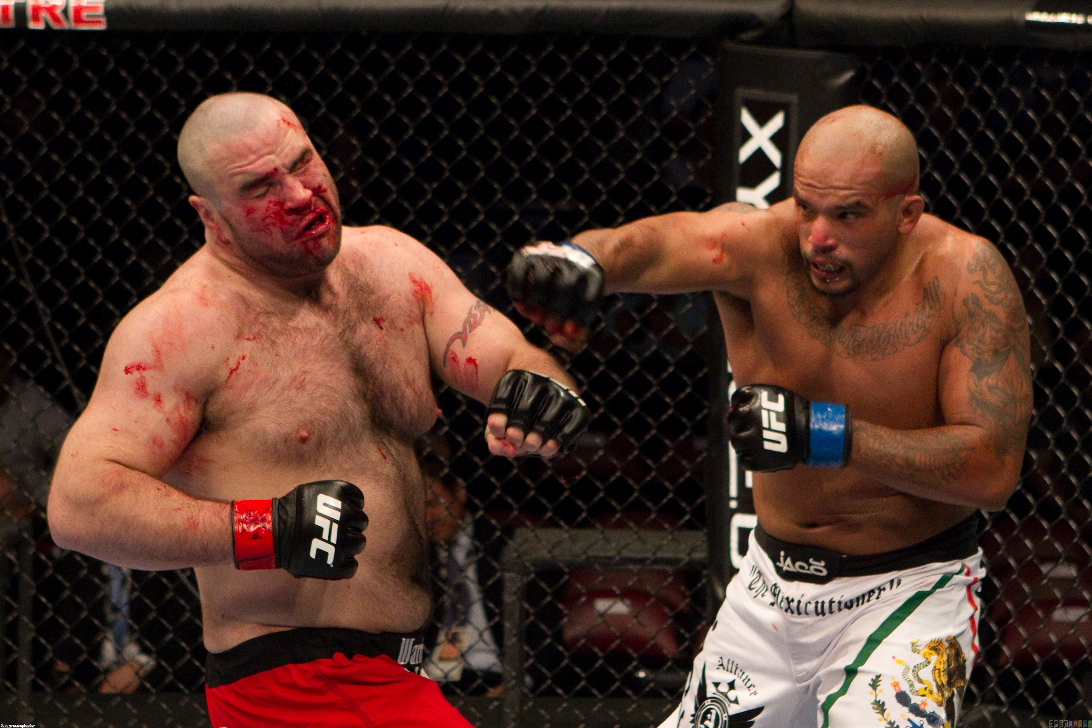Ufc - Adam Braidwood Vs Tim Hague - HD Wallpaper 