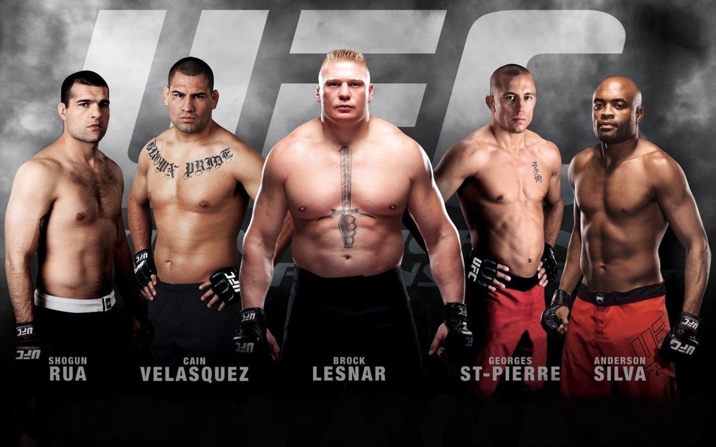 Mma Widescreen Wallpaper - Brock Lesnar Wallpaper Ufc - HD Wallpaper 