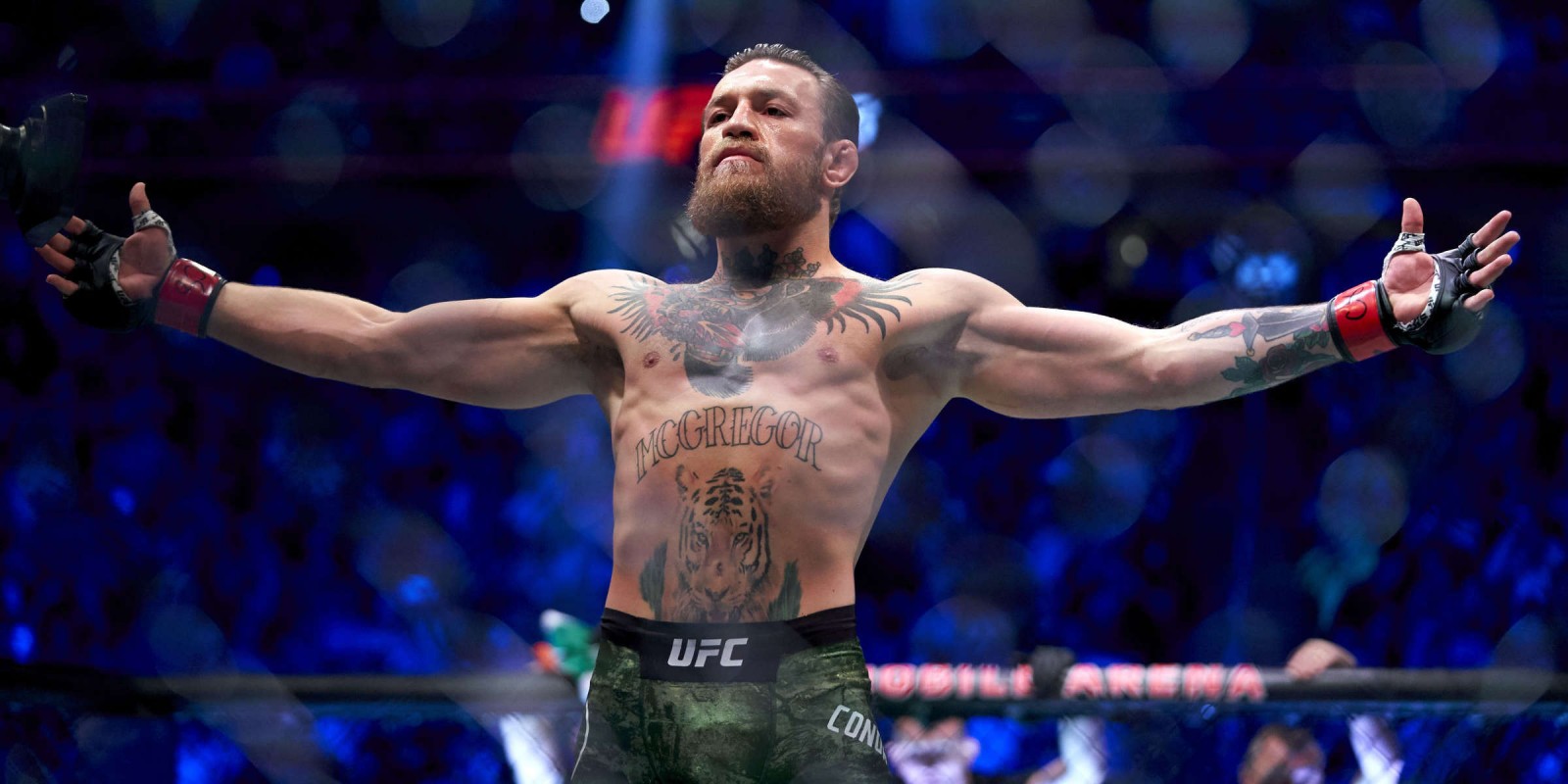 Conor Mcgregor Ufc 246 - HD Wallpaper 