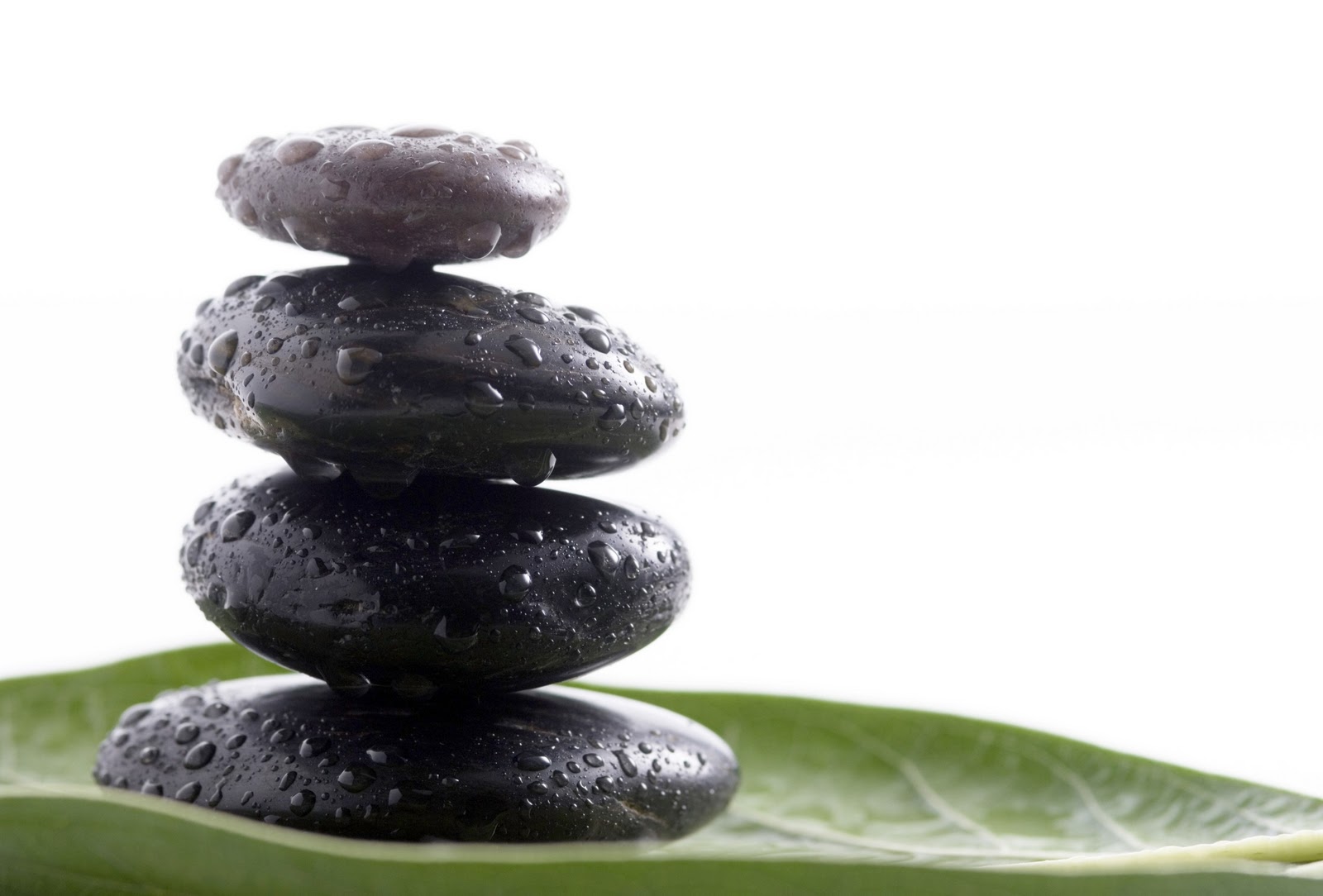 Pile Of Black Stones On Leave Macro Wallpaper Wallpaper Zen Stone With Flower High Resolution 1600x1084 Wallpaper Teahub Io Pile Of Black Stones On Leave Macro Wallpaper Wallpaper Zen Stone With Flower High Resolution 1600x1084 Wallpaper Teahub Io
