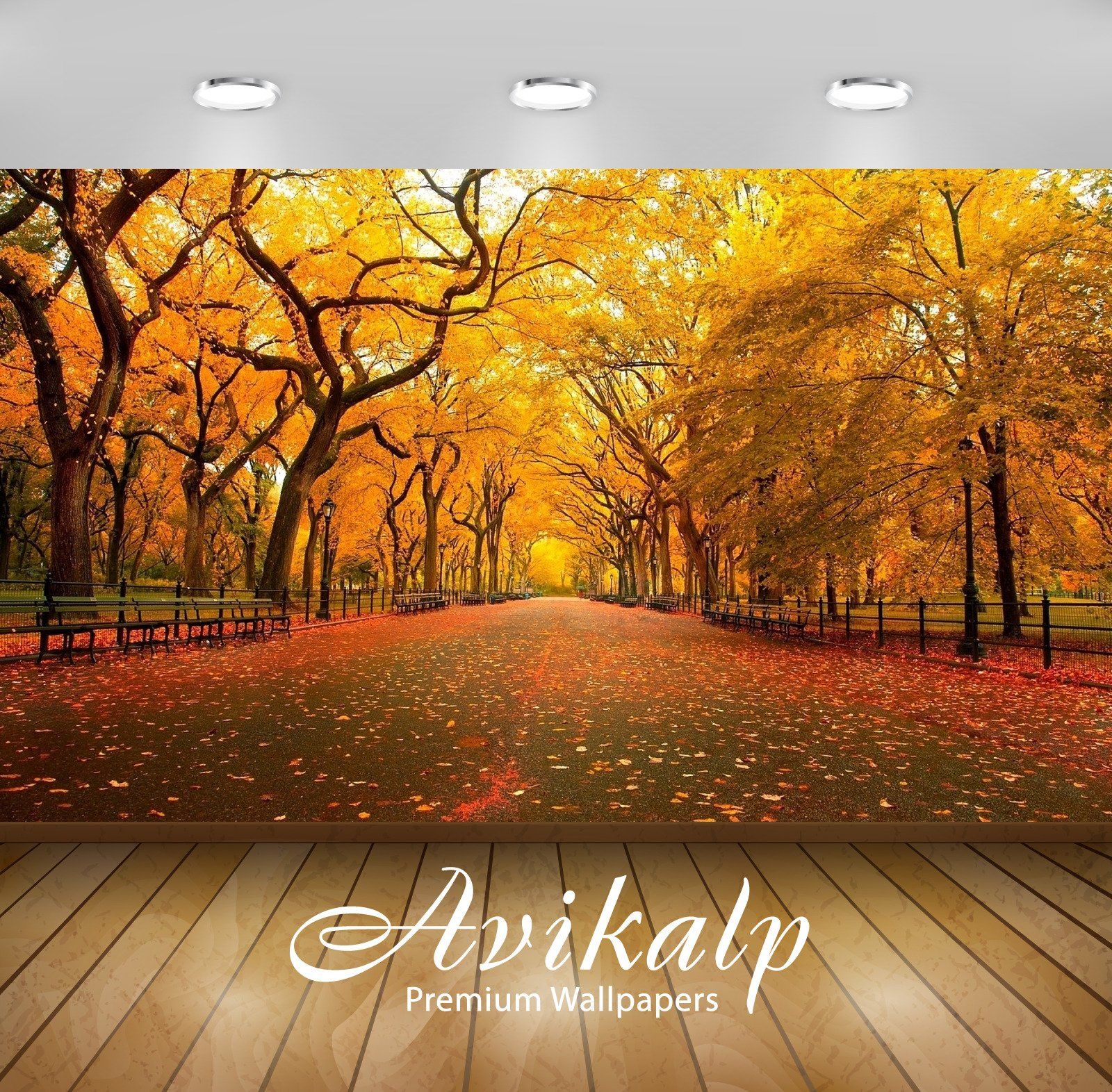 Fall Season Central Park - HD Wallpaper 