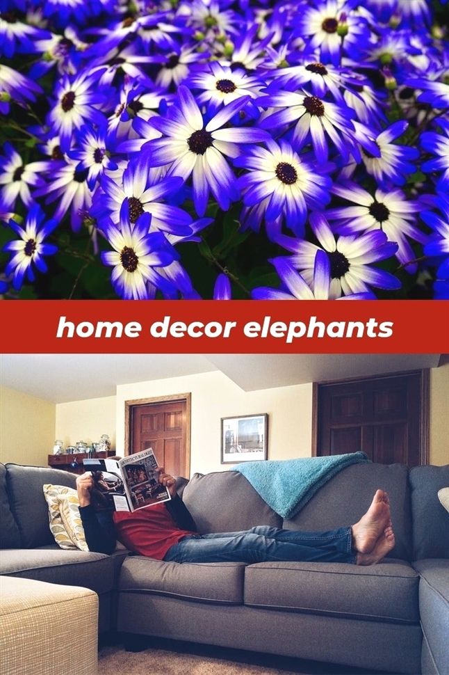 Ontspannen Op De Bank - HD Wallpaper 